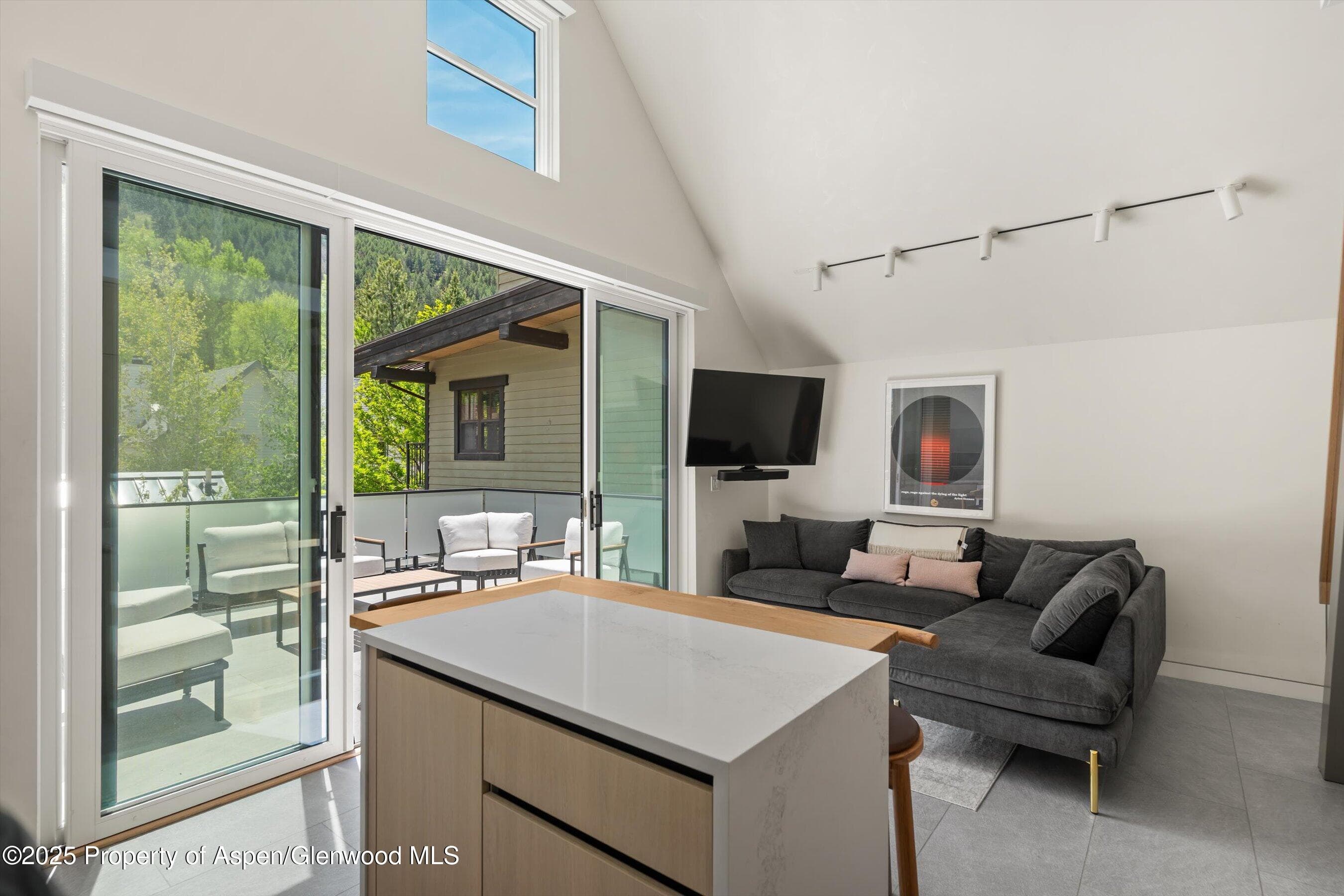211 W Main Street, Aspen, CO 81611 - Photo 22
