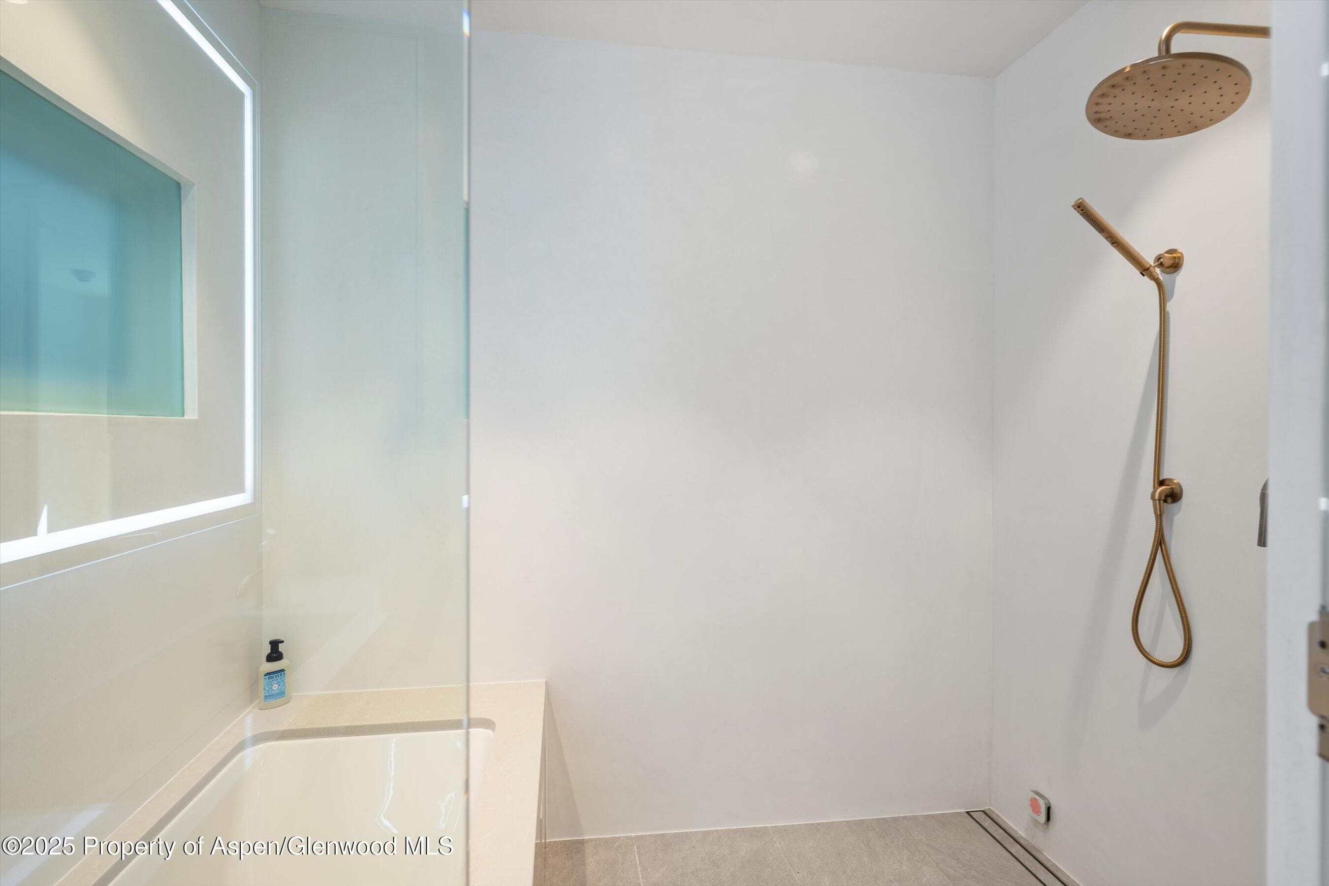 211 W Main Street, Aspen, CO 81611 - Photo 16