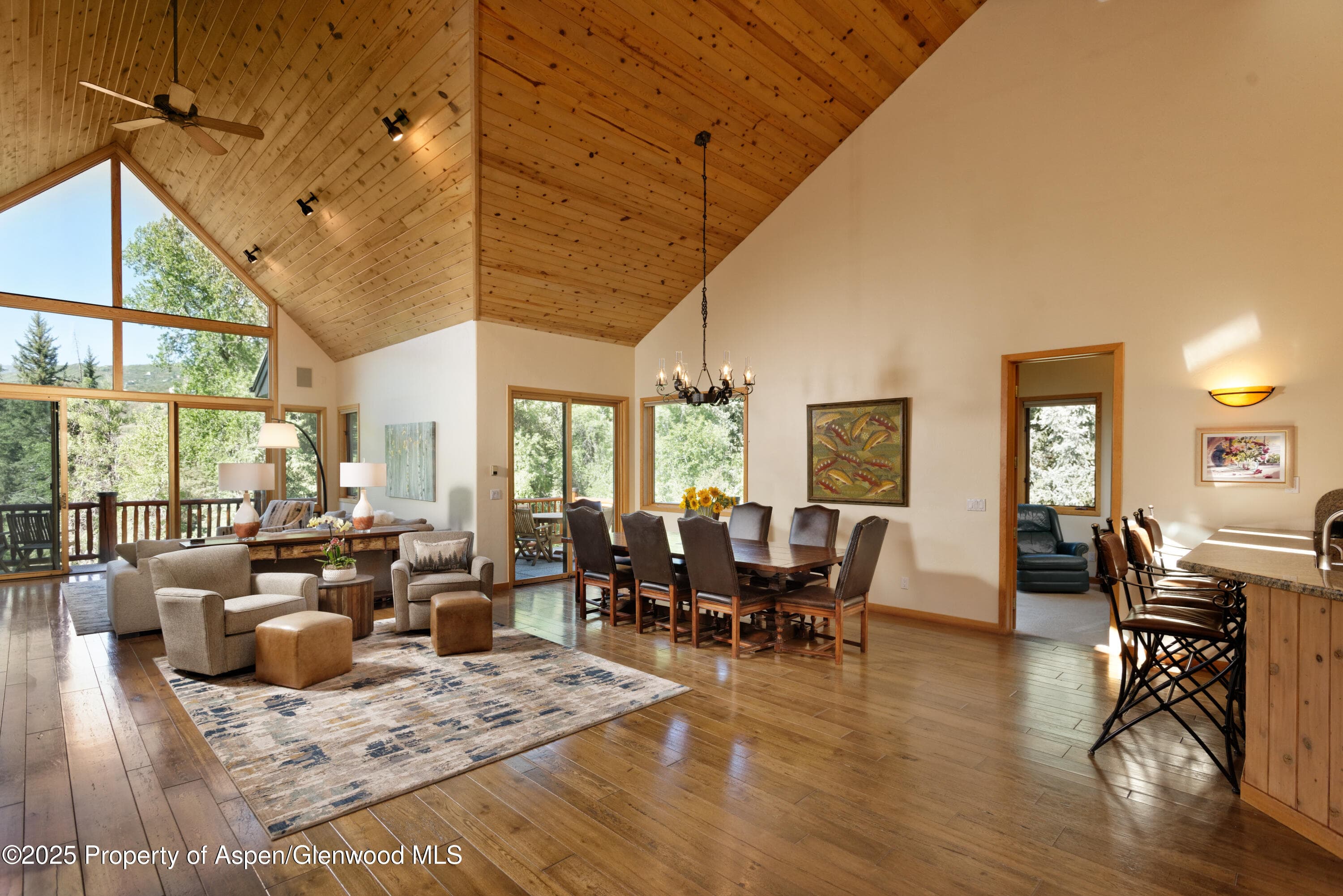 106 N Little Texas Lane, Woody Creek, CO 81656 - Photo 21