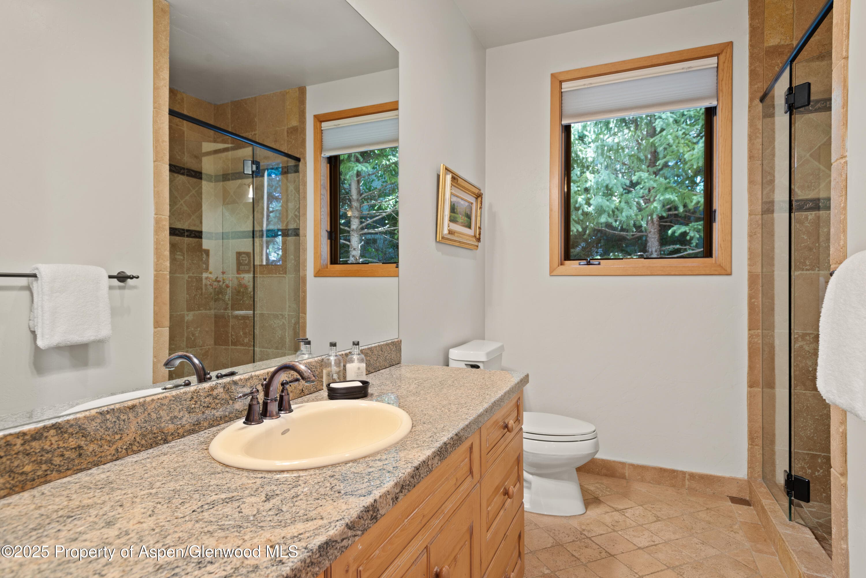 106 N Little Texas Lane, Woody Creek, CO 81656 - Photo 28