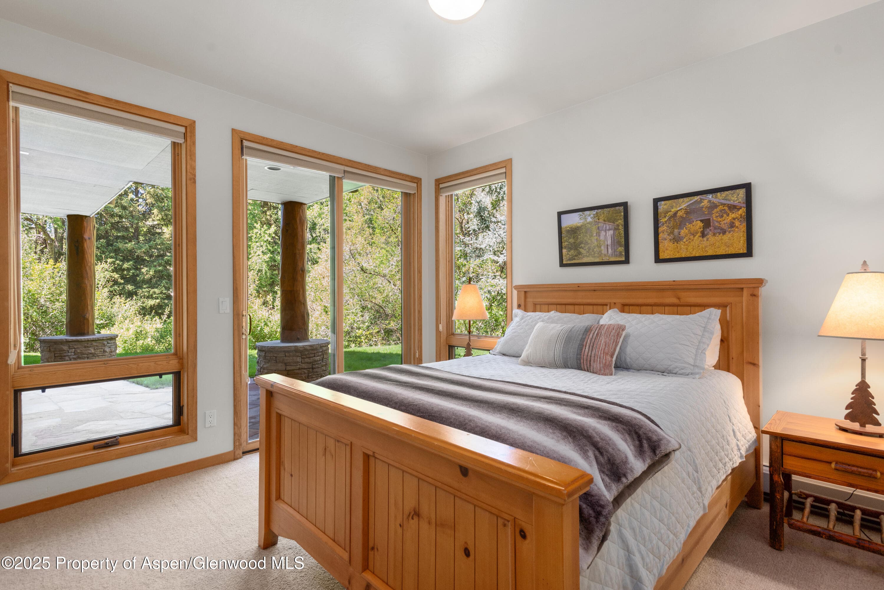 106 N Little Texas Lane, Woody Creek, CO 81656 - Photo 35