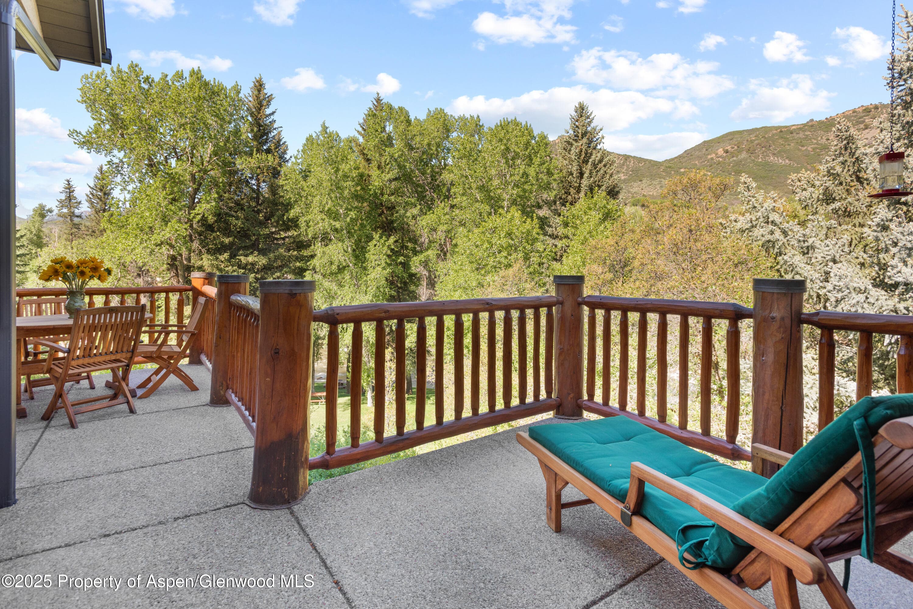 106 N Little Texas Lane, Woody Creek, CO 81656 - Photo 8