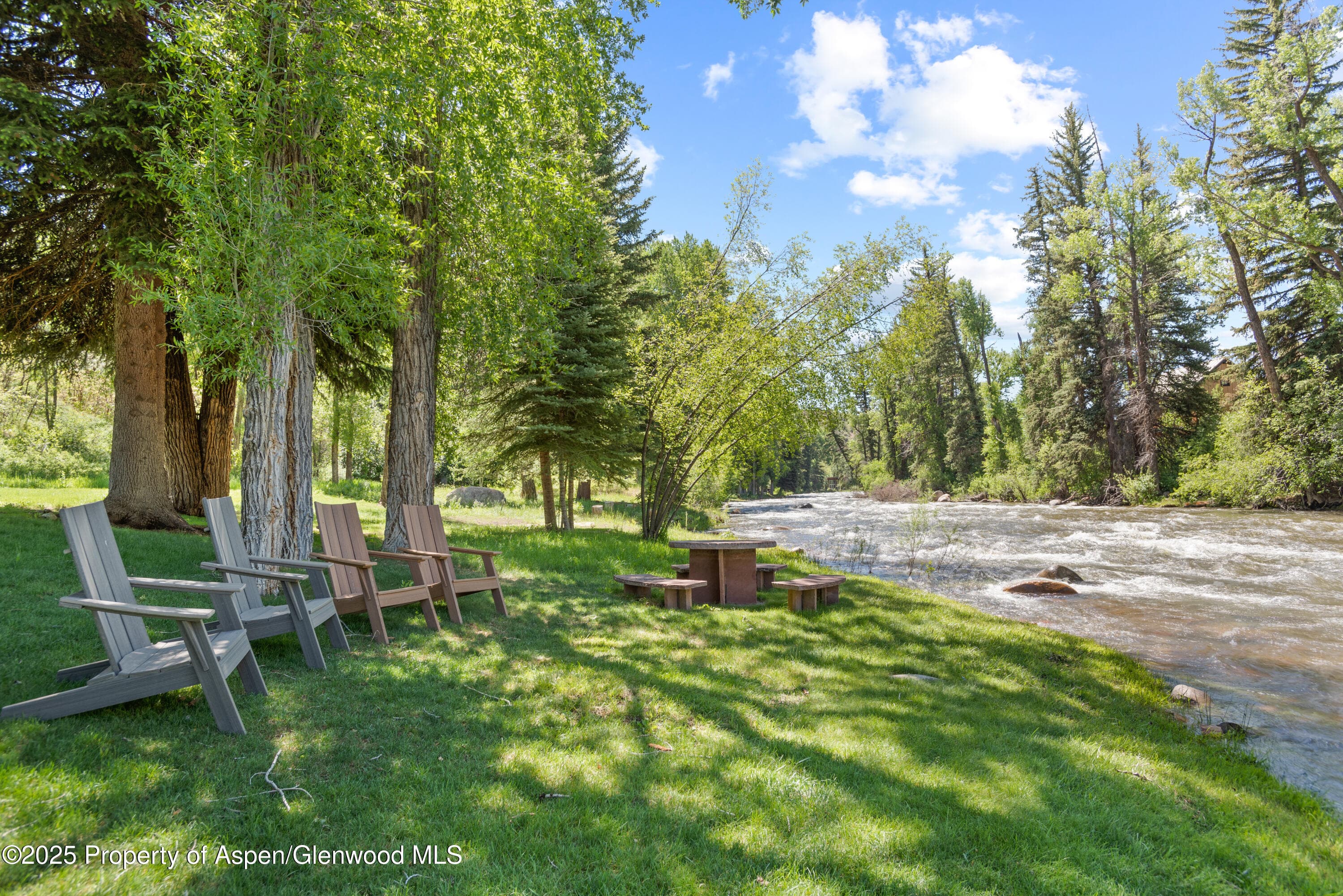 106 N Little Texas Lane, Woody Creek, CO 81656 - Photo 15