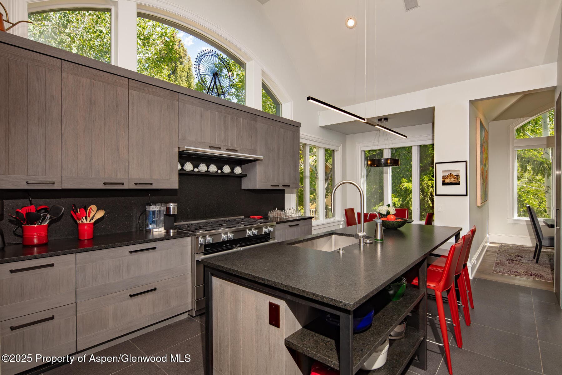 205 N 6th Street, Aspen, CO 81611 - Photo 8