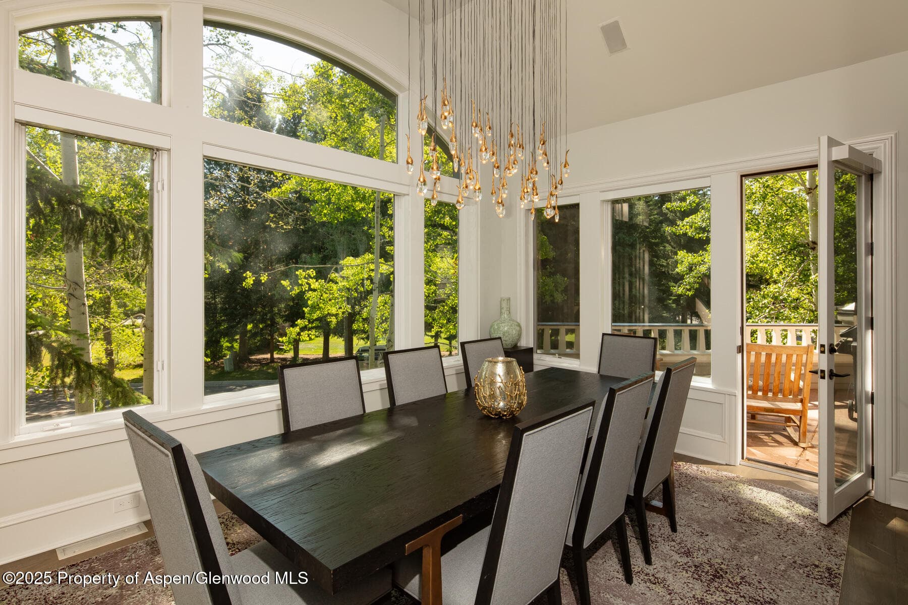 205 N 6th Street, Aspen, CO 81611 - Photo 9