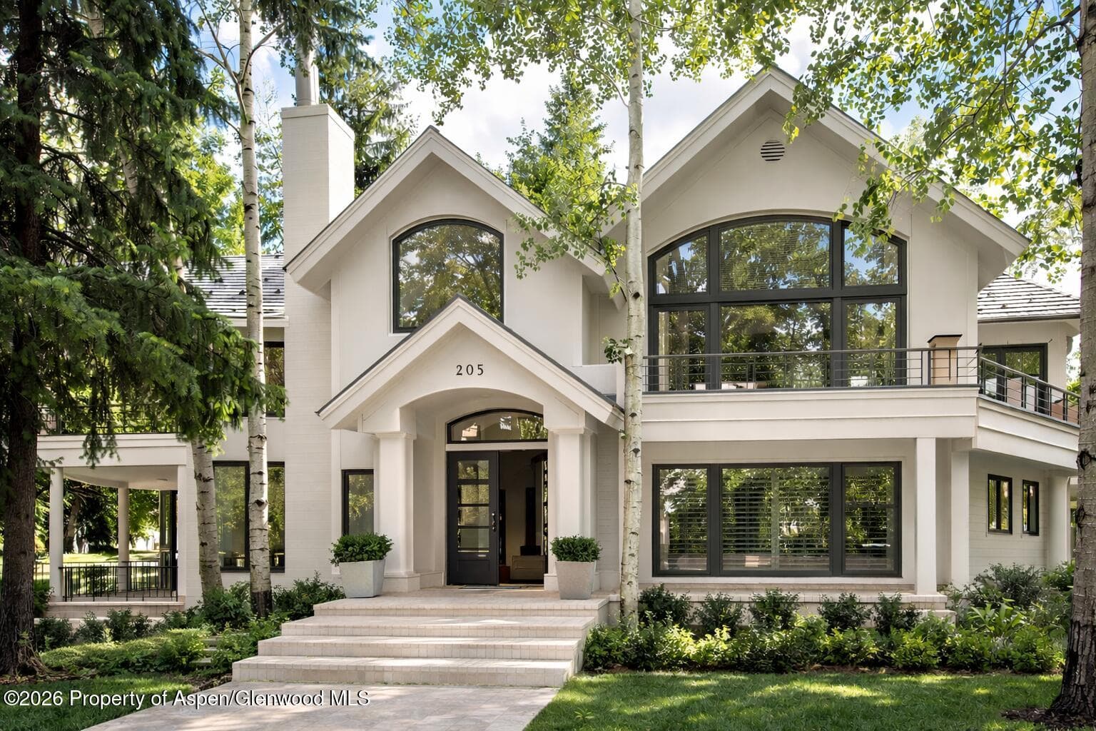 205 N 6th Street, Aspen, CO 81611 - Photo 2