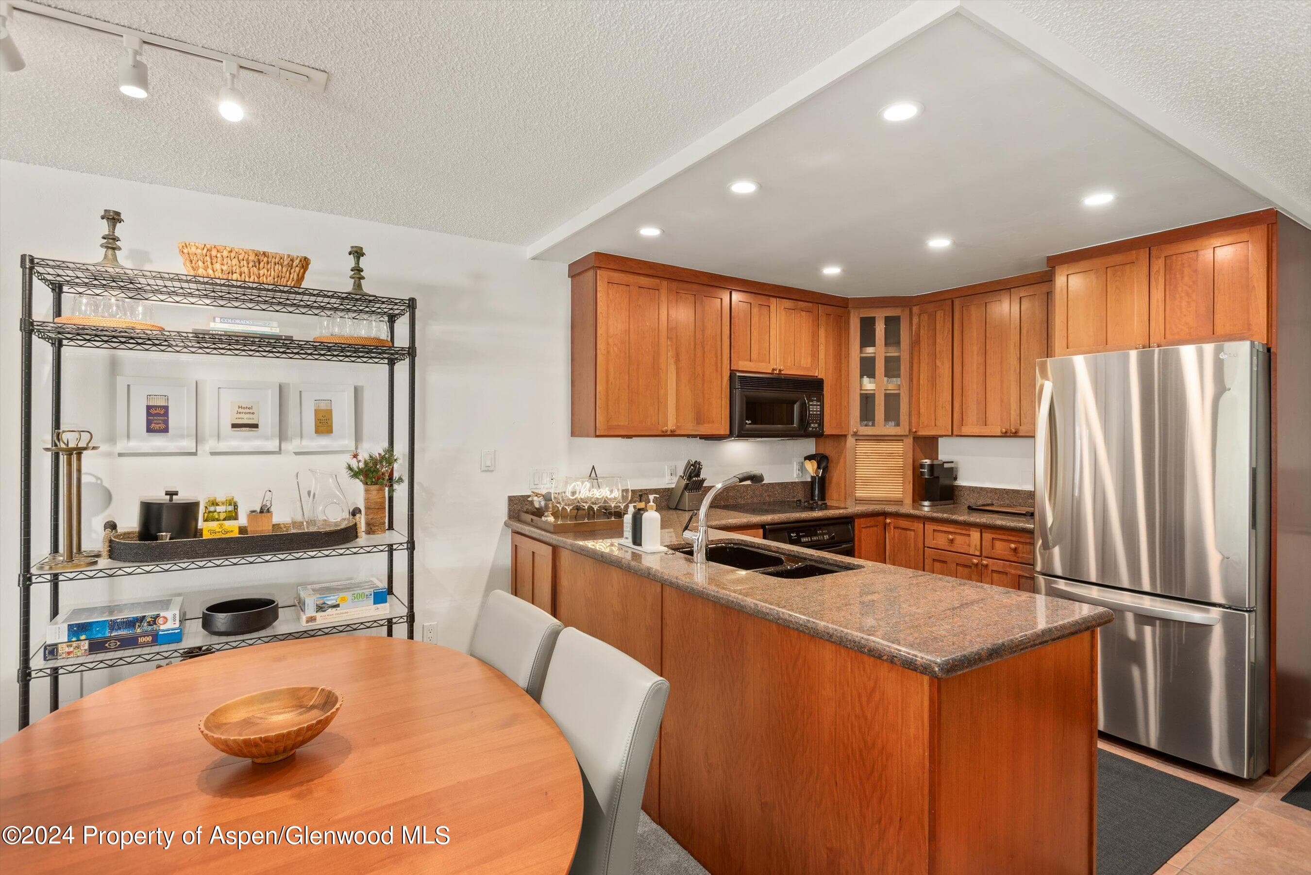205 E Durant Avenue 1-C, Aspen, CO 81611 - Photo 5