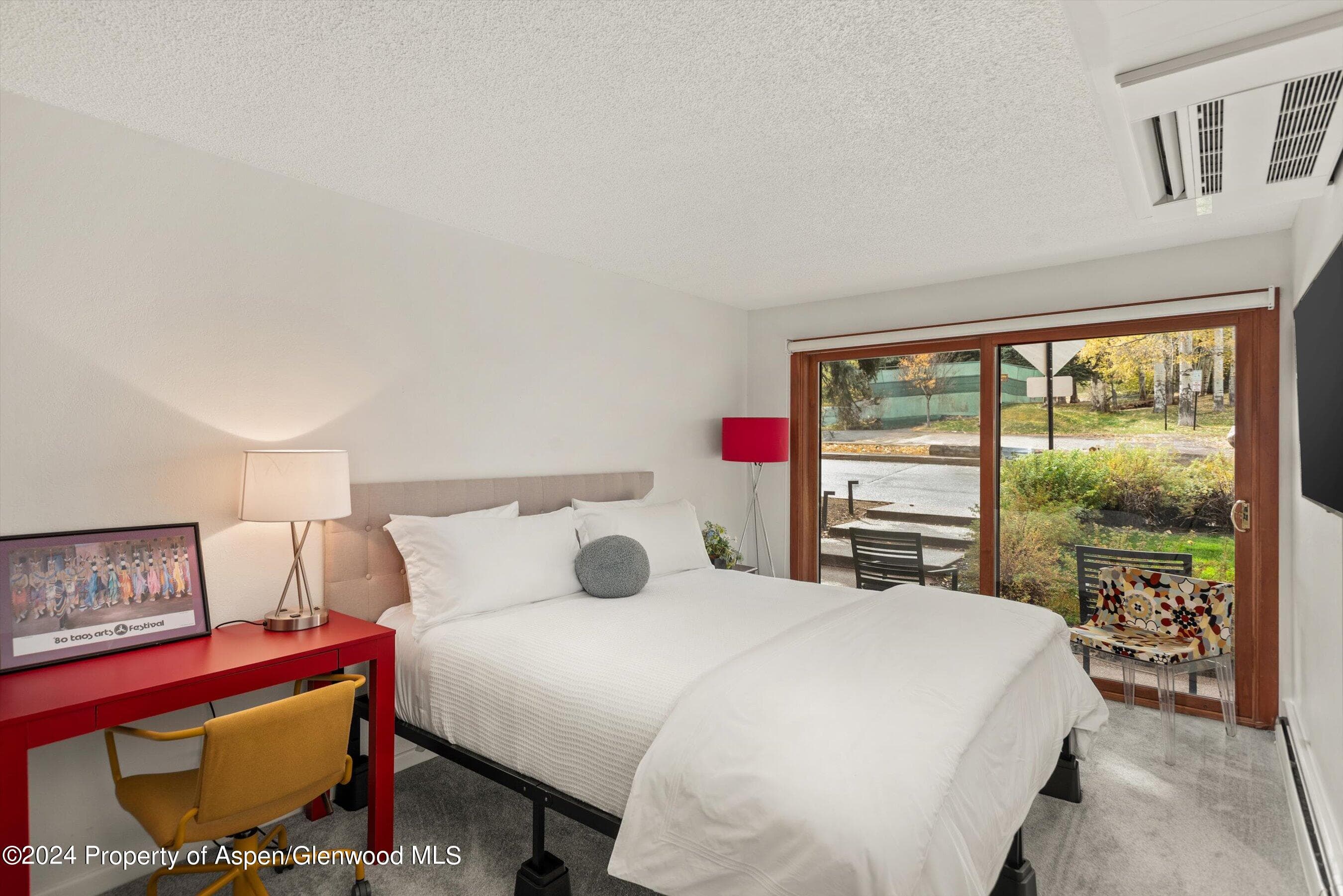 205 E Durant Avenue 1-C, Aspen, CO 81611 - Photo 7
