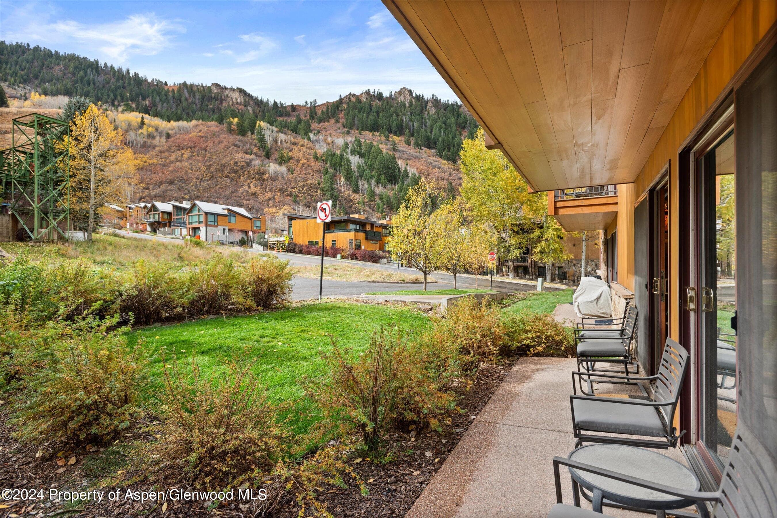 205 E Durant Avenue 1-C, Aspen, CO 81611 - Photo 10