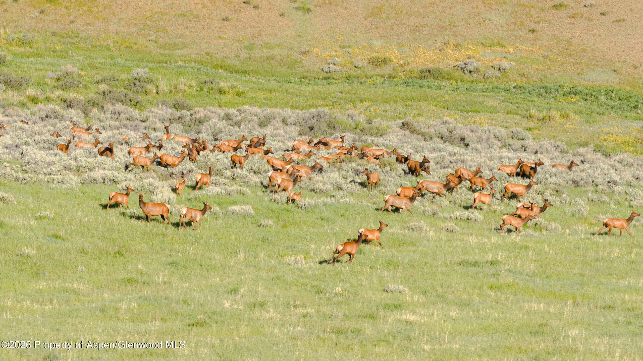 Tbd County Road 57, Hayden, CO 81639 - Photo 1