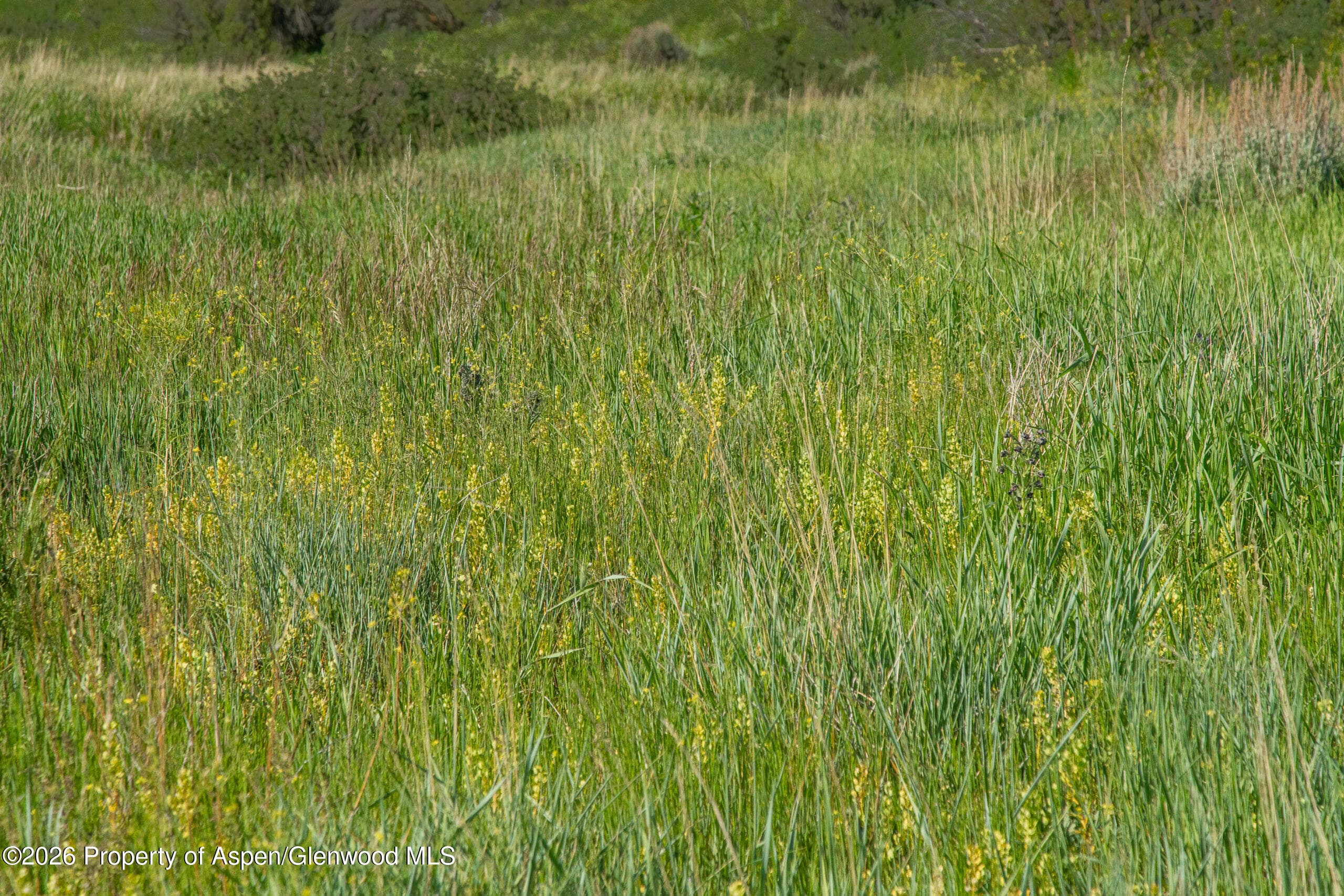 Tbd County Road 57, Hayden, CO 81639 - Photo 3