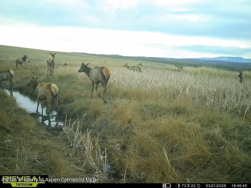 Tbd County Road 57, Hayden, CO 81639 - Photo 10