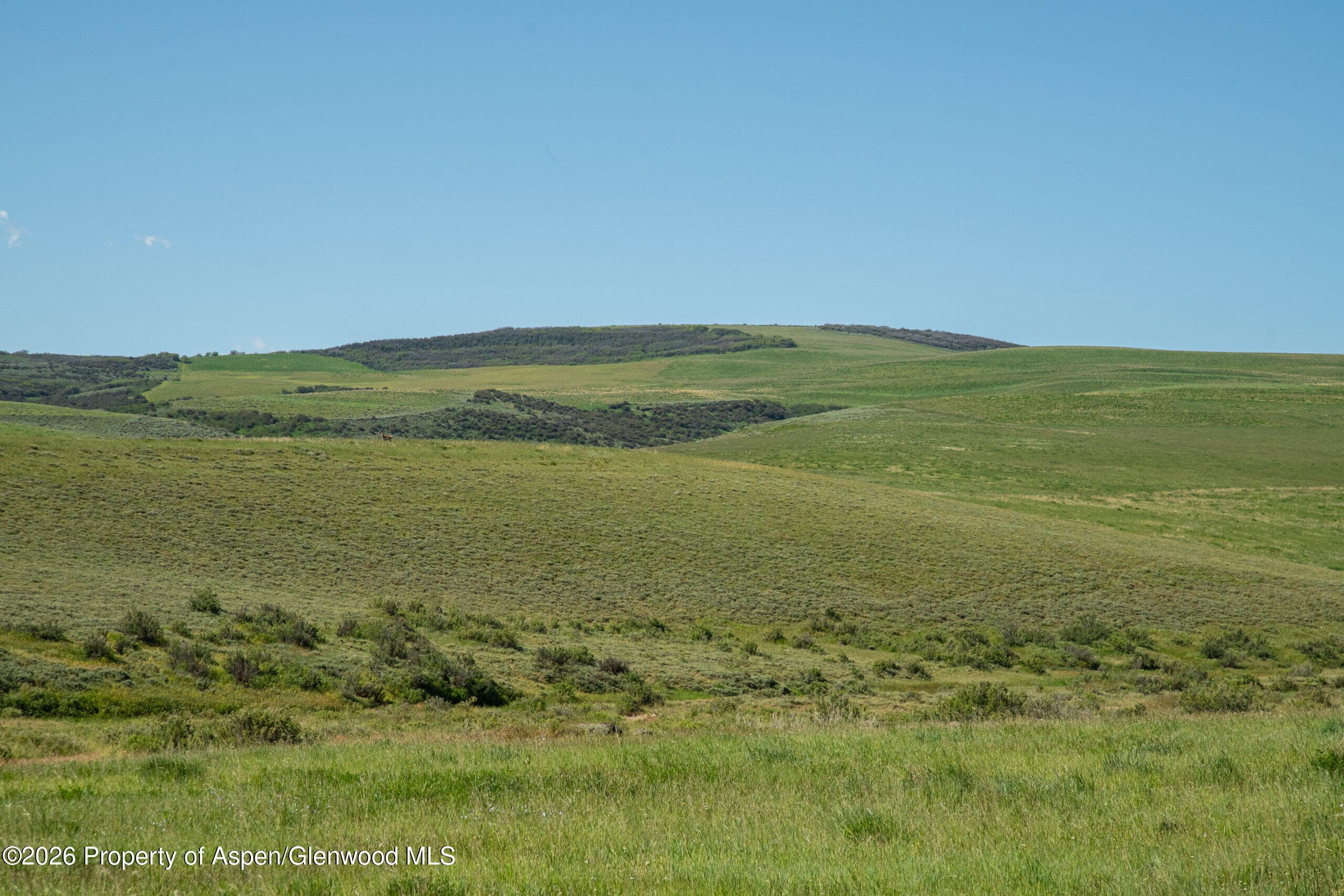 Tbd County Road 57, Hayden, CO 81639 - Photo 61