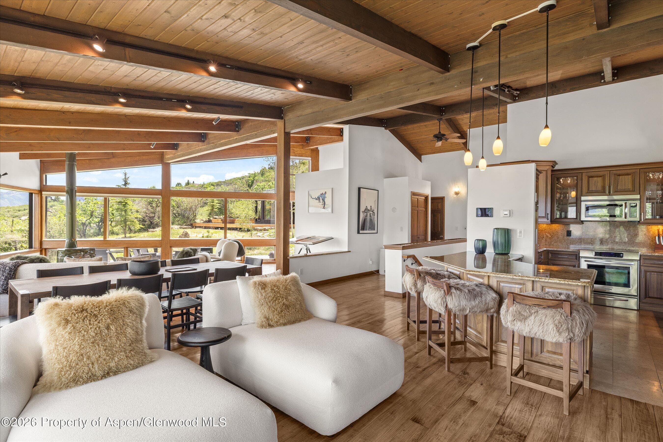 2227 Juniper Hill Road, Aspen, CO 81611 - Photo 10