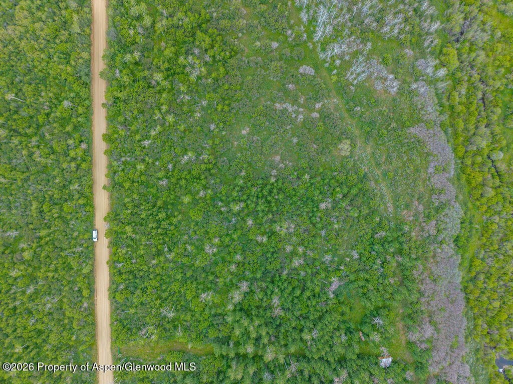 341 Treemoss Drive, Craig, CO 81625 - Photo 7