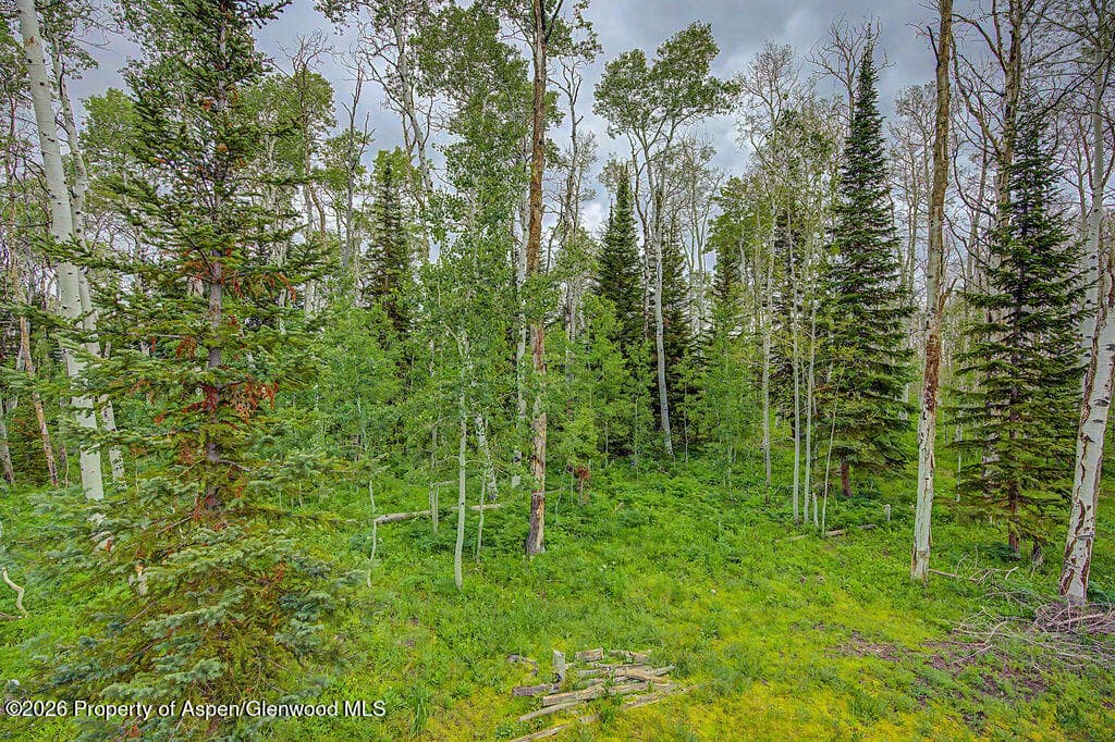 972 Timberlane Drive Lot#115, Craig, CO 81625 - Photo 33