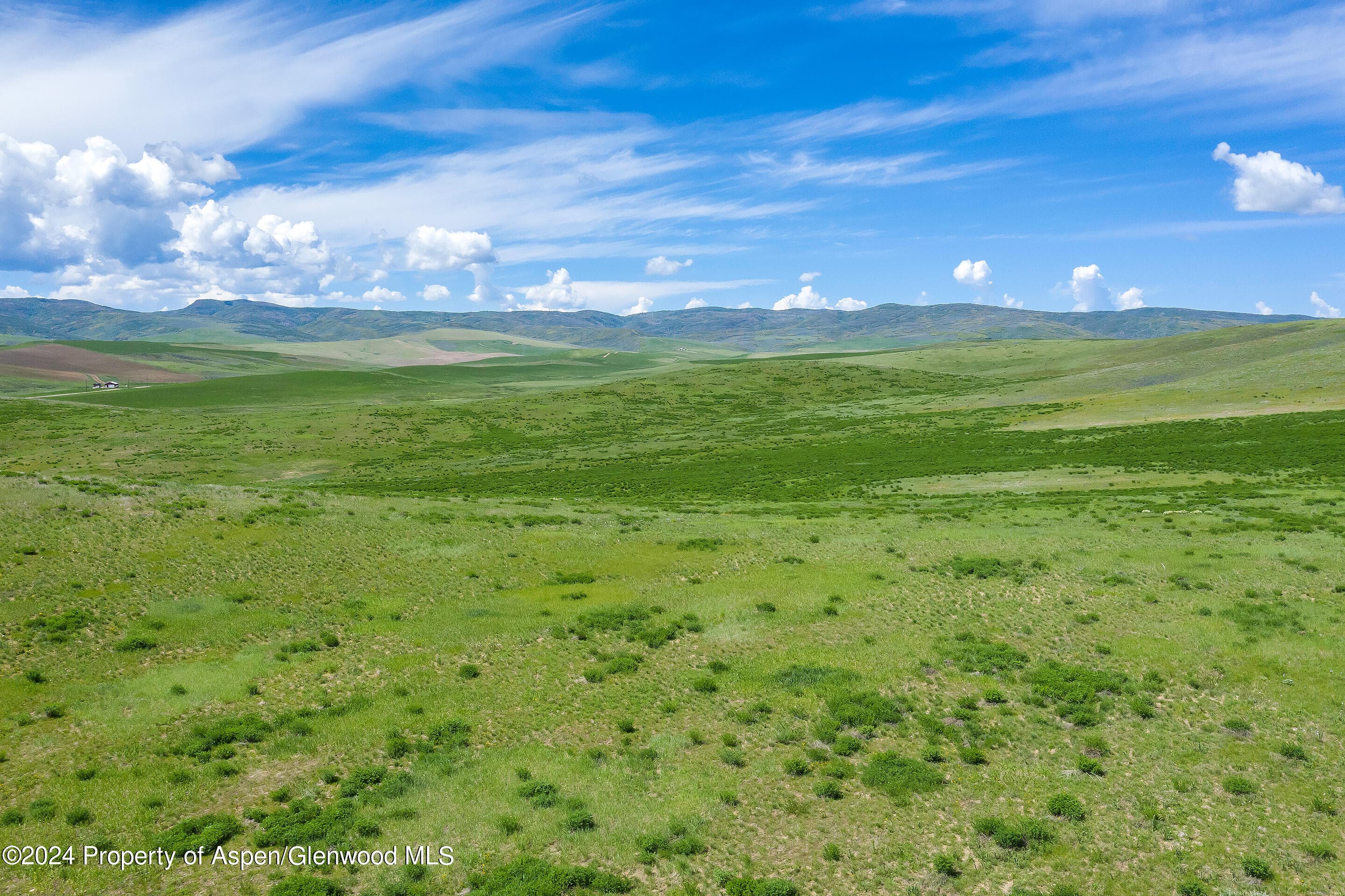 35755 County Road 59, Hayden, CO 81639 - Photo 4