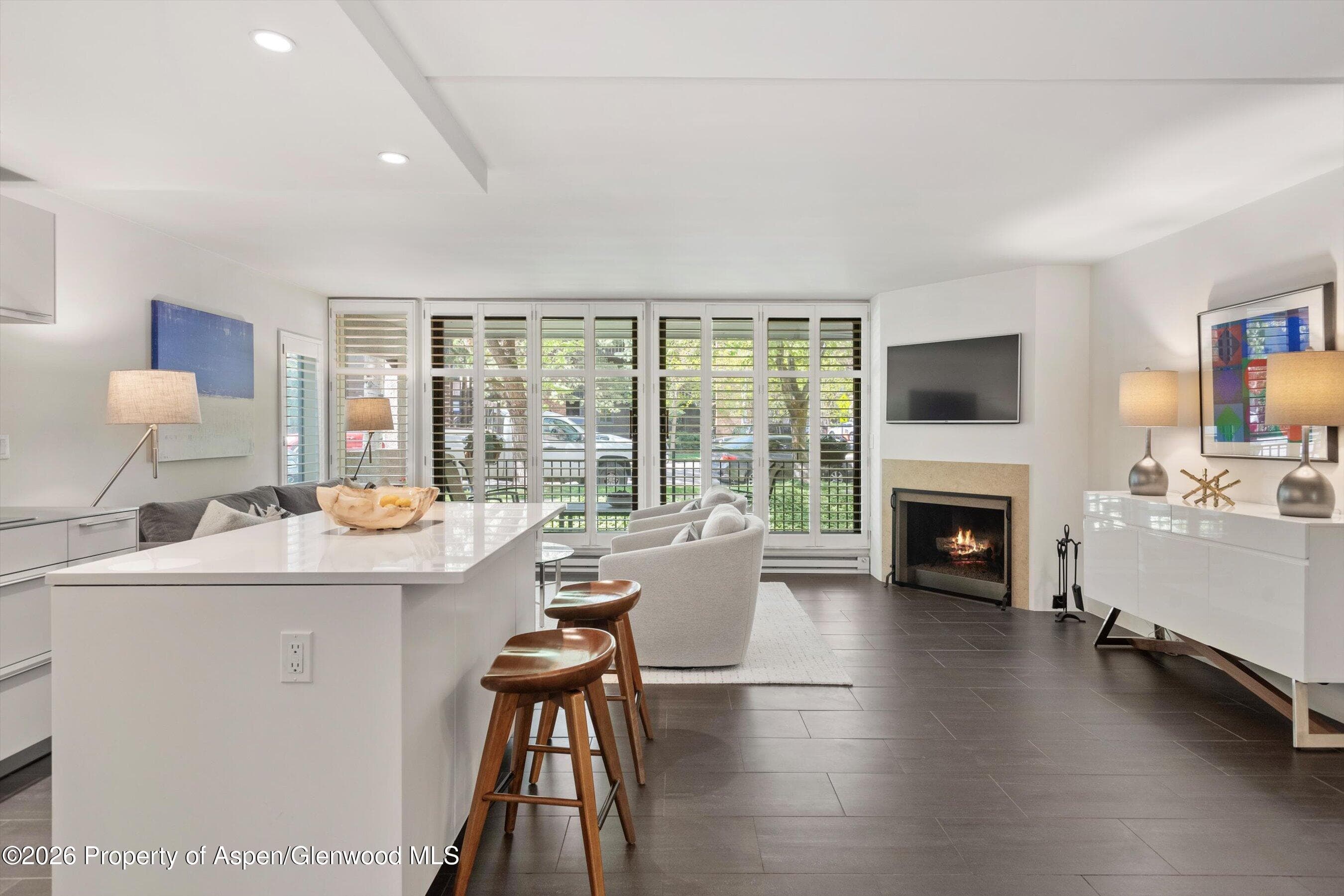800 E Hopkins Avenue A-3, Aspen, CO 81611 - Photo 1