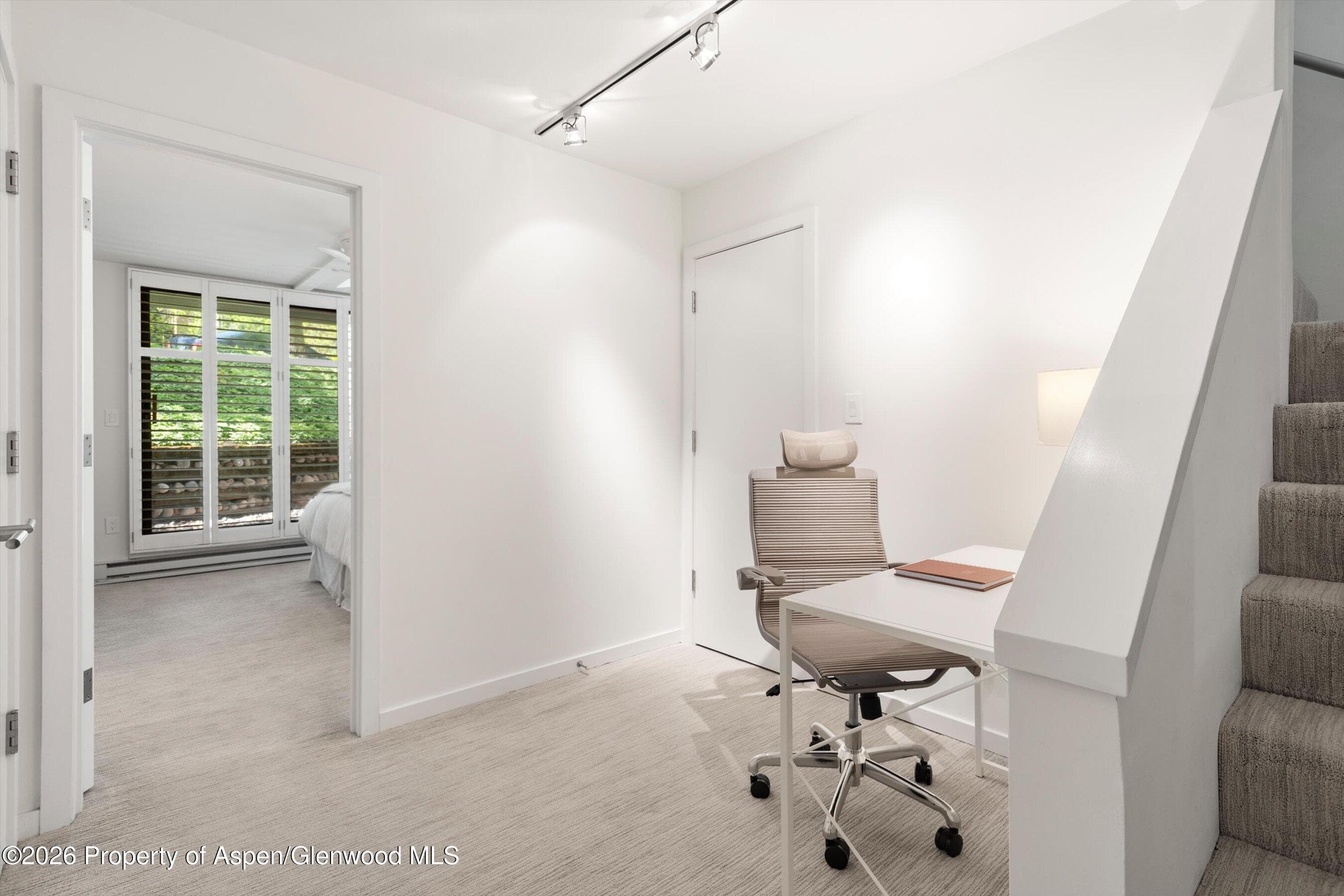 800 E Hopkins Avenue A-3, Aspen, CO 81611 - Photo 22