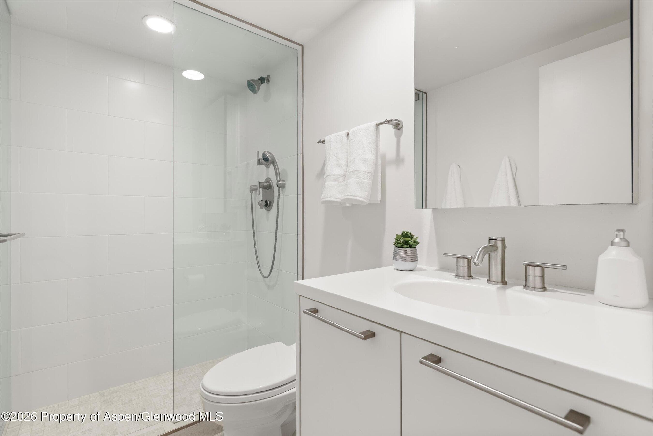 800 E Hopkins Avenue A-3, Aspen, CO 81611 - Photo 32