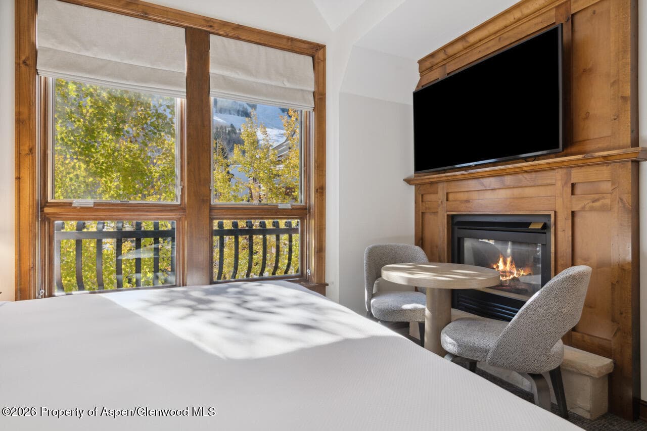415 E Dean St. #32, Wk 9, Aspen, CO 81611 - Photo 16