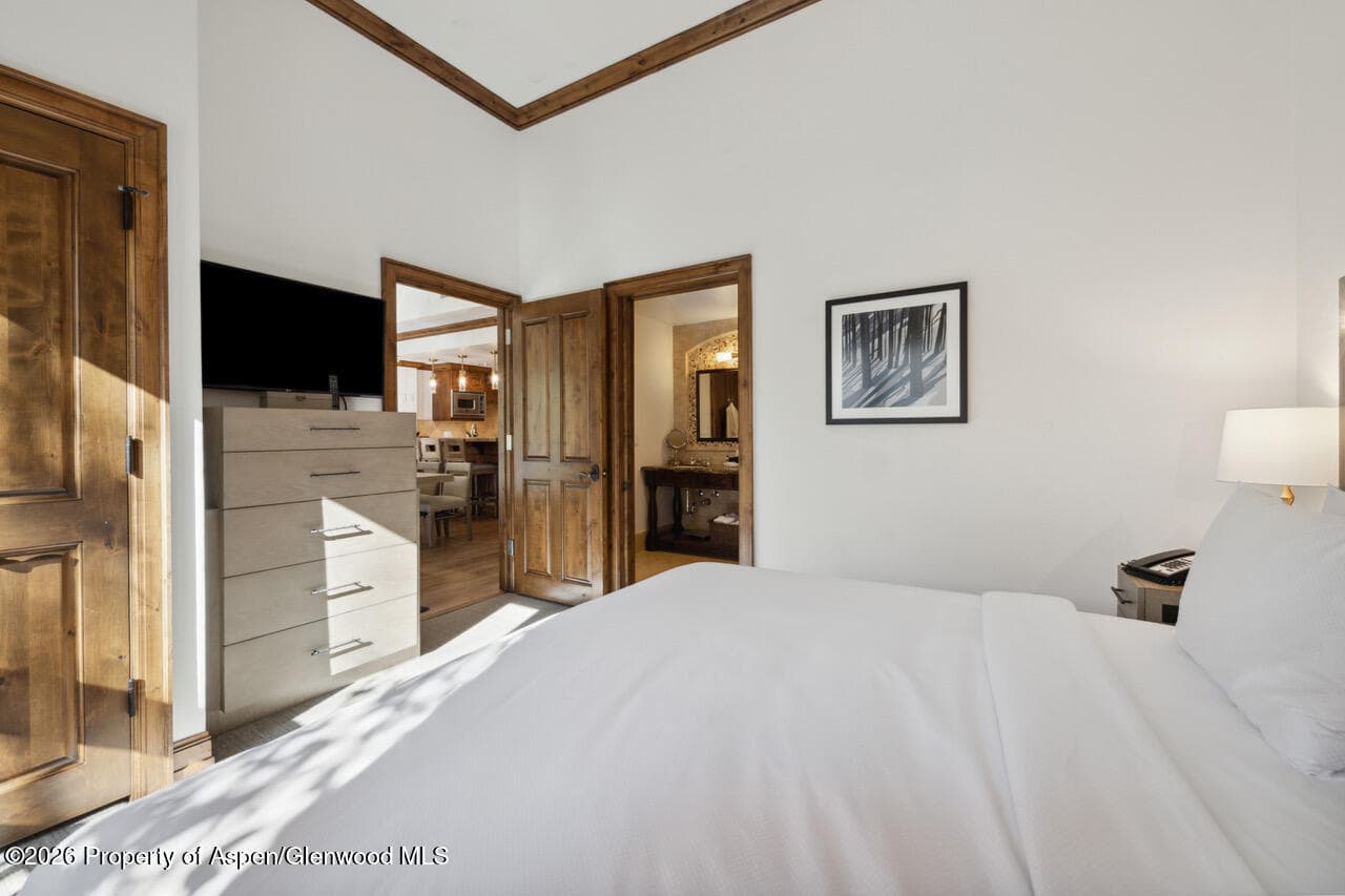 415 E Dean St. #32, Wk 9, Aspen, CO 81611 - Photo 14