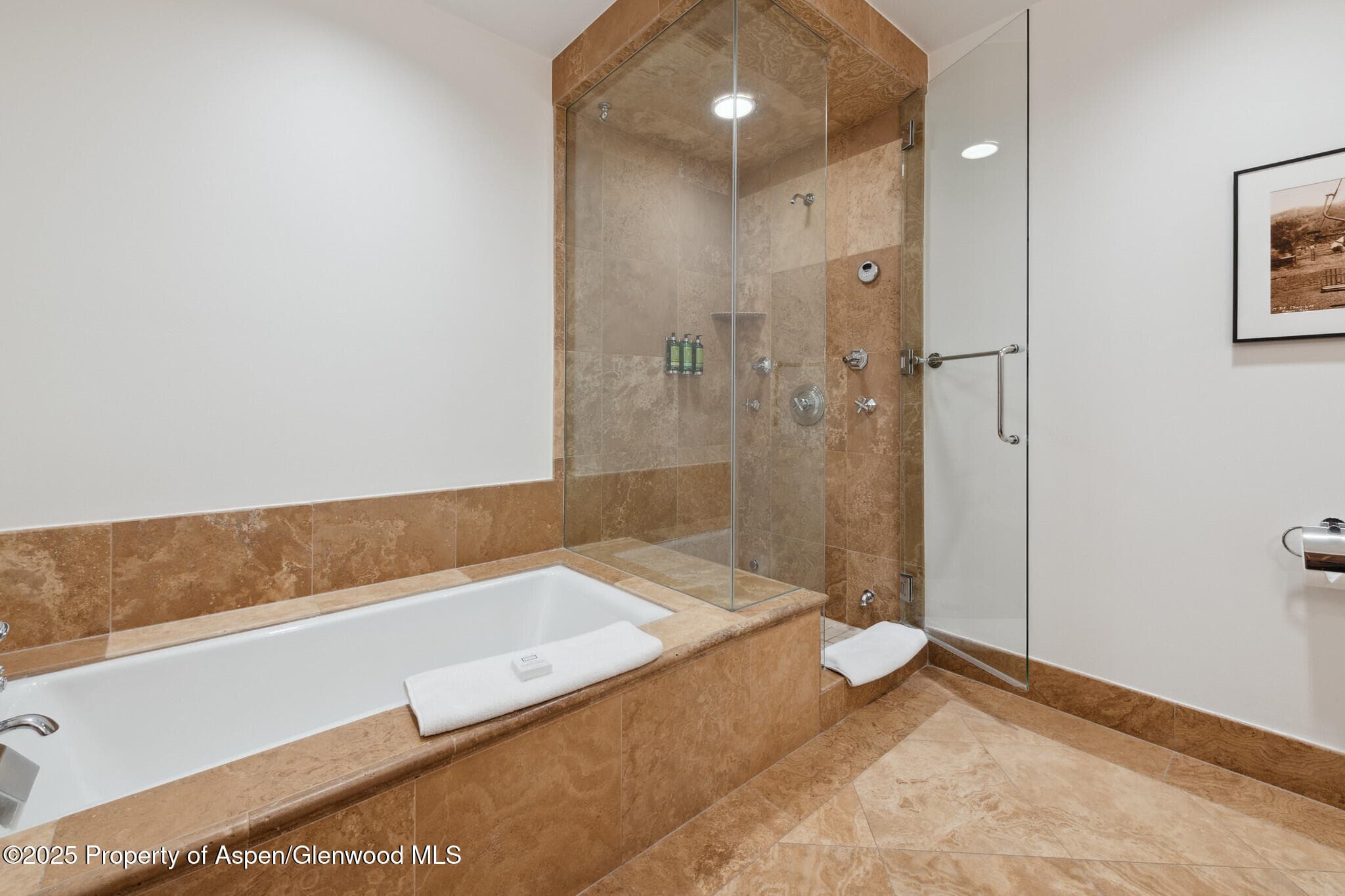 415 E Dean St, Unit 2, Week 31, Aspen, CO 81611 - Photo 24
