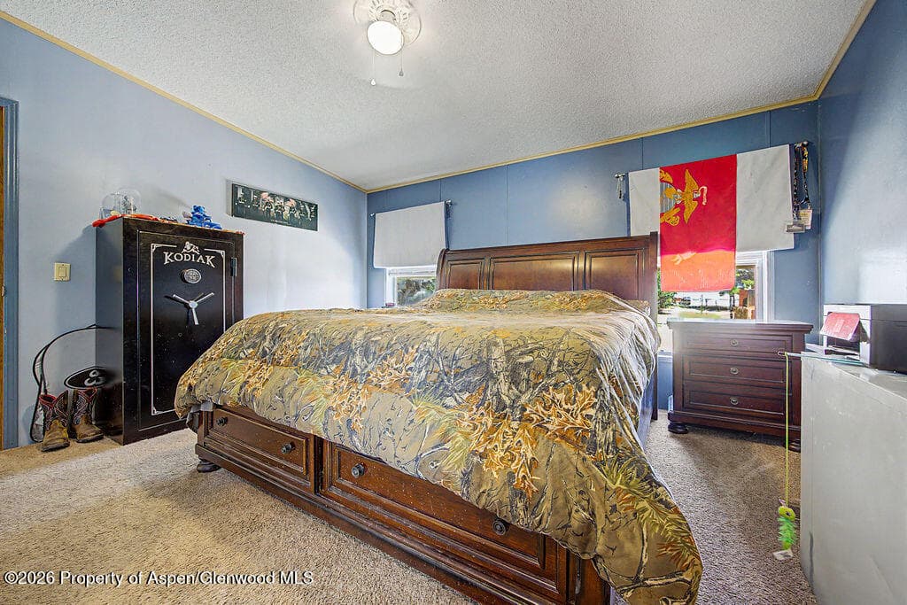 587 Conner Drive, Craig, CO 81625 - Photo 15