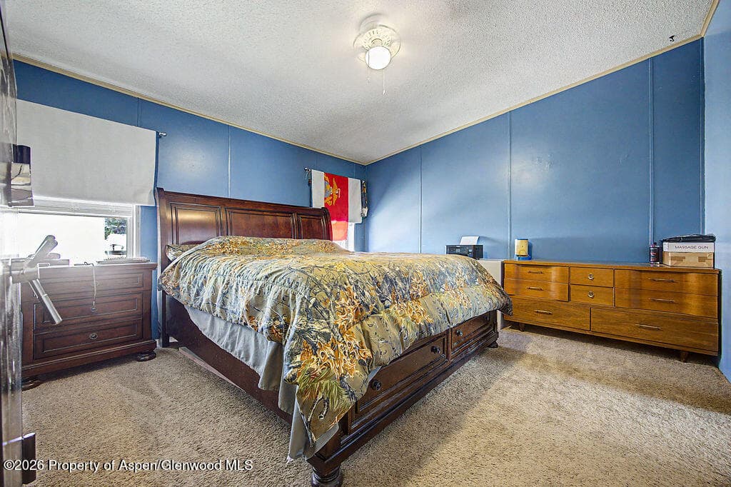 587 Conner Drive, Craig, CO 81625 - Photo 16
