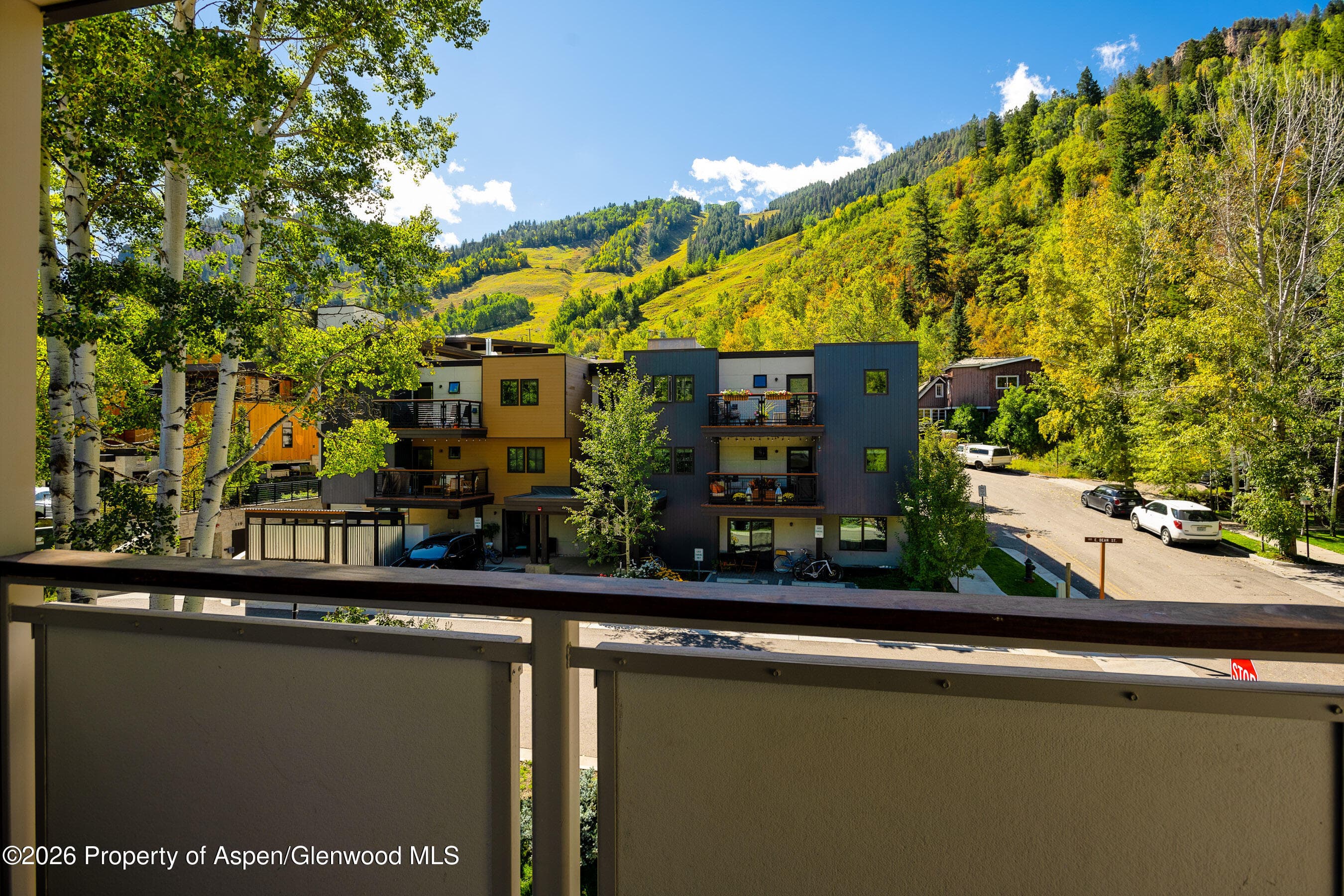 100 E Dean Street Unit 2b, Aspen, CO 81611 - Photo 13