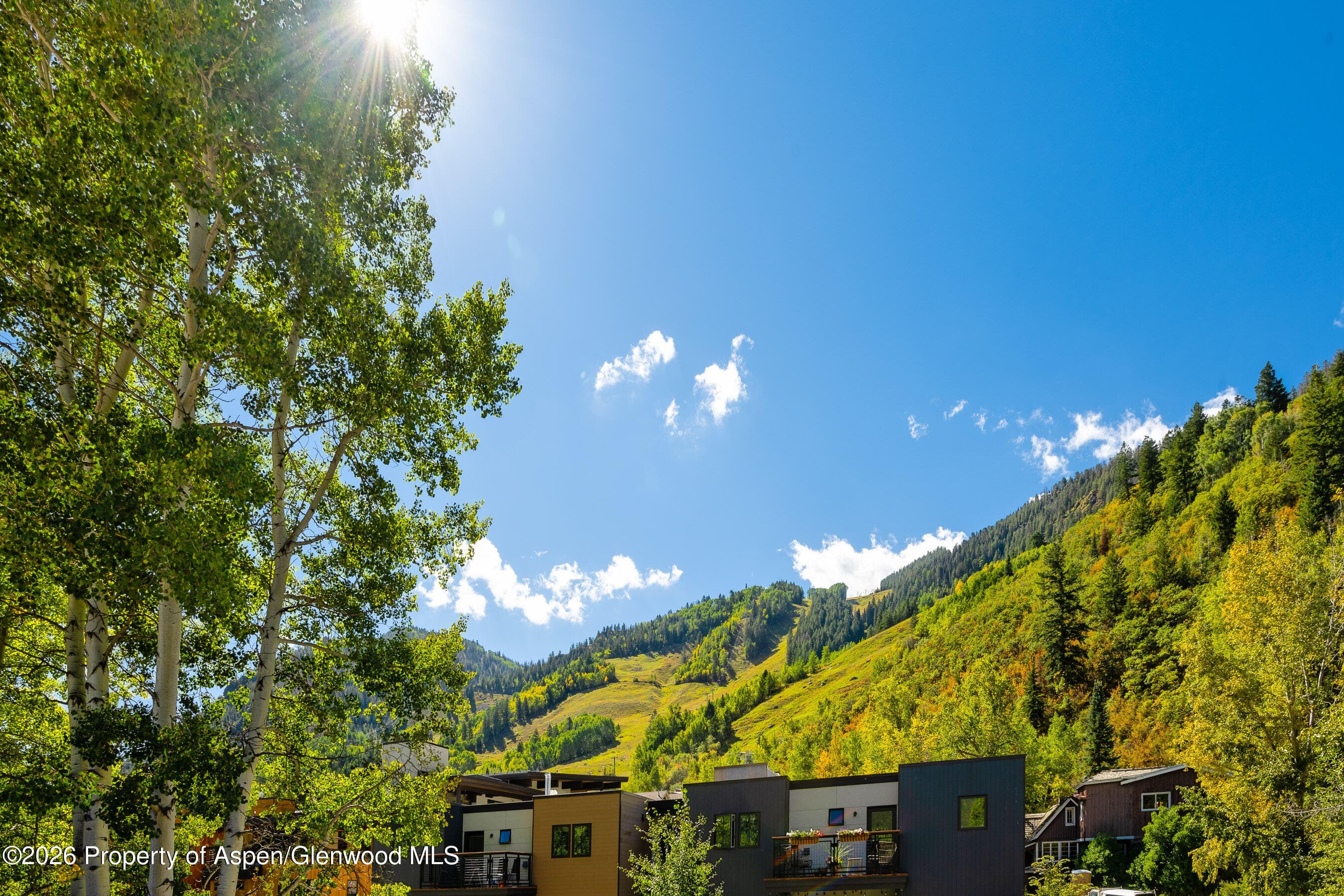 100 E Dean Street Unit 2b, Aspen, CO 81611 - Photo 15