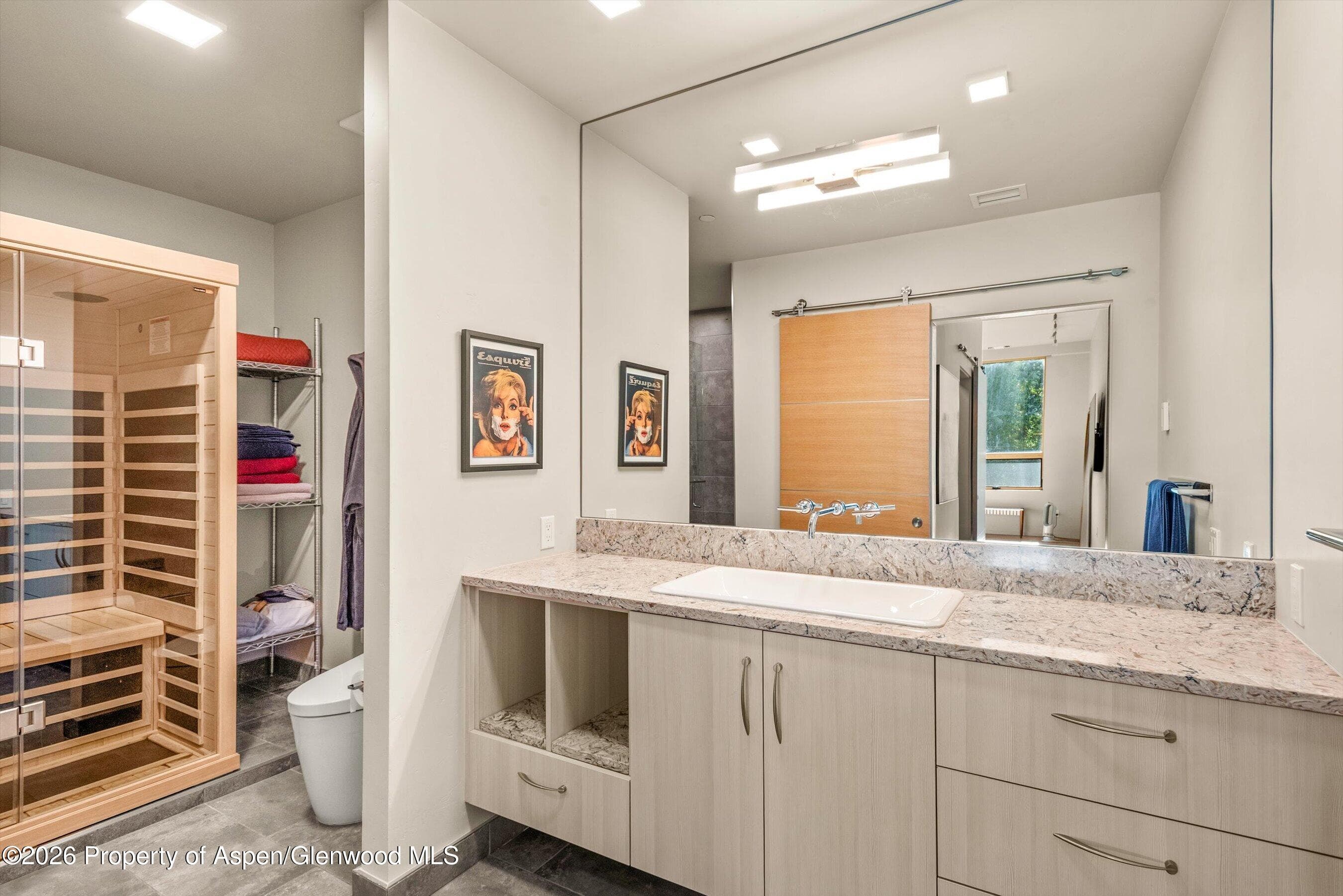 103 Willits Way 201, Basalt, CO 81621 - Photo 19