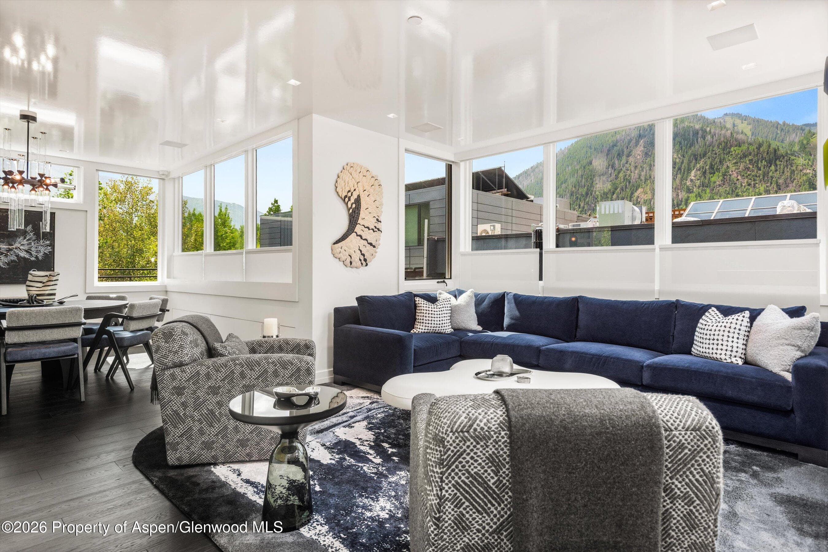 627 E Hopkins Avenue 201, Aspen, CO 81611 - Photo 7