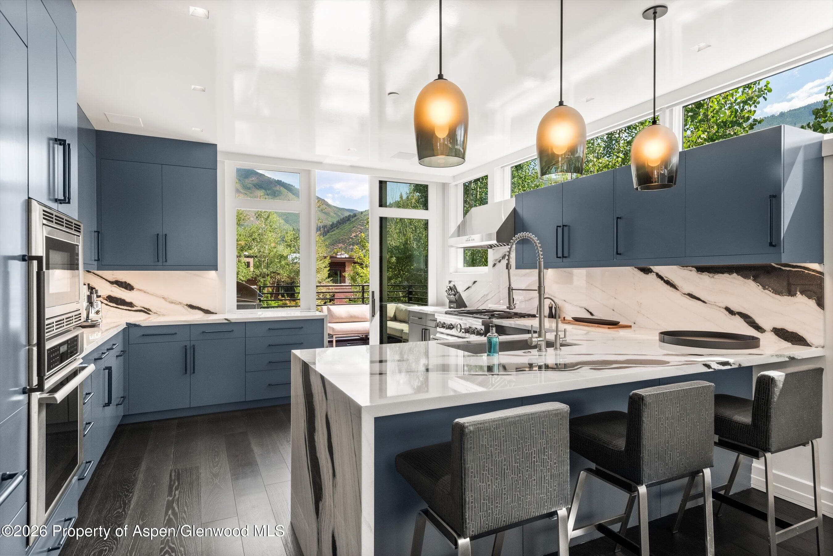 627 E Hopkins Avenue 201, Aspen, CO 81611 - Photo 11
