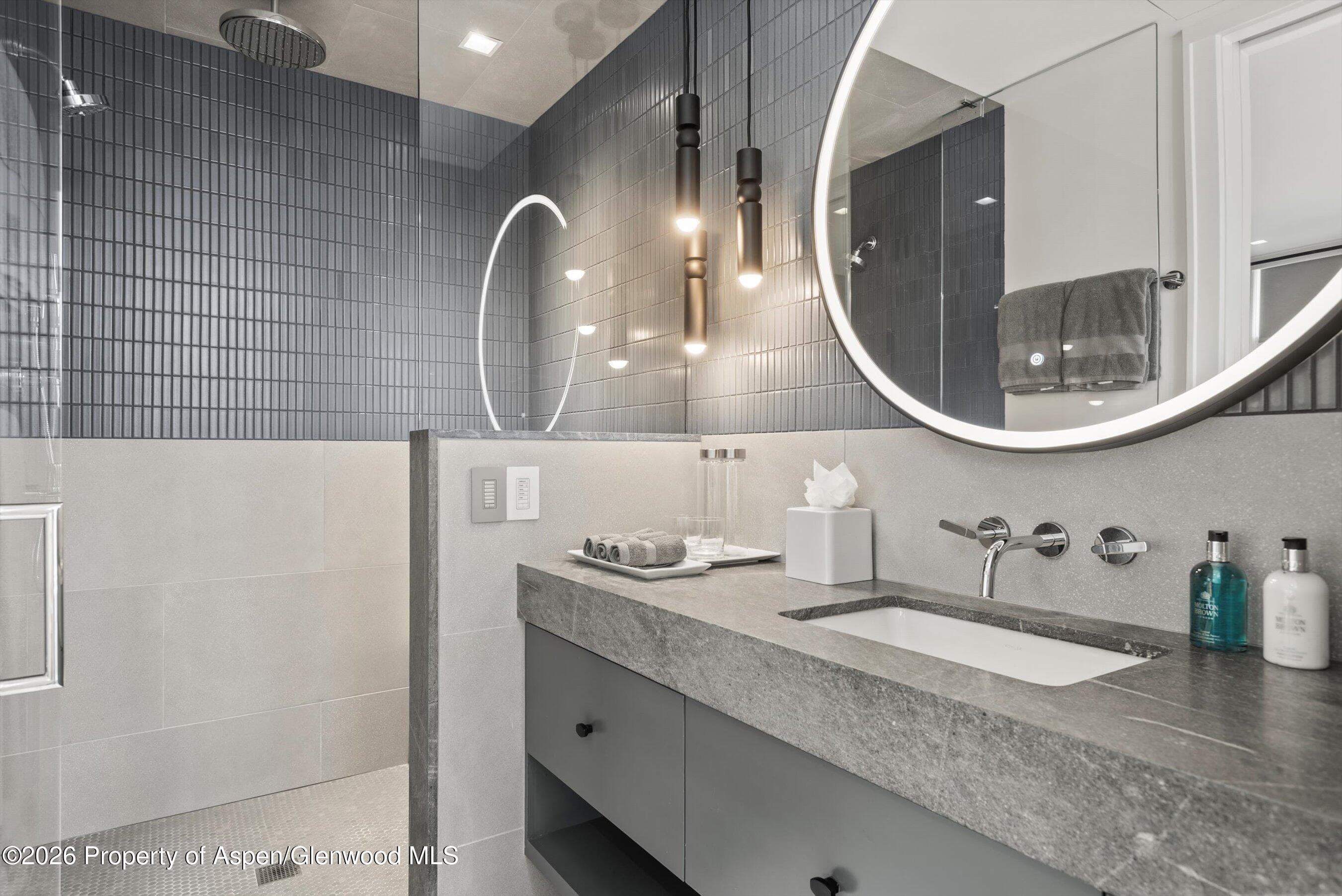 627 E Hopkins Avenue 201, Aspen, CO 81611 - Photo 22
