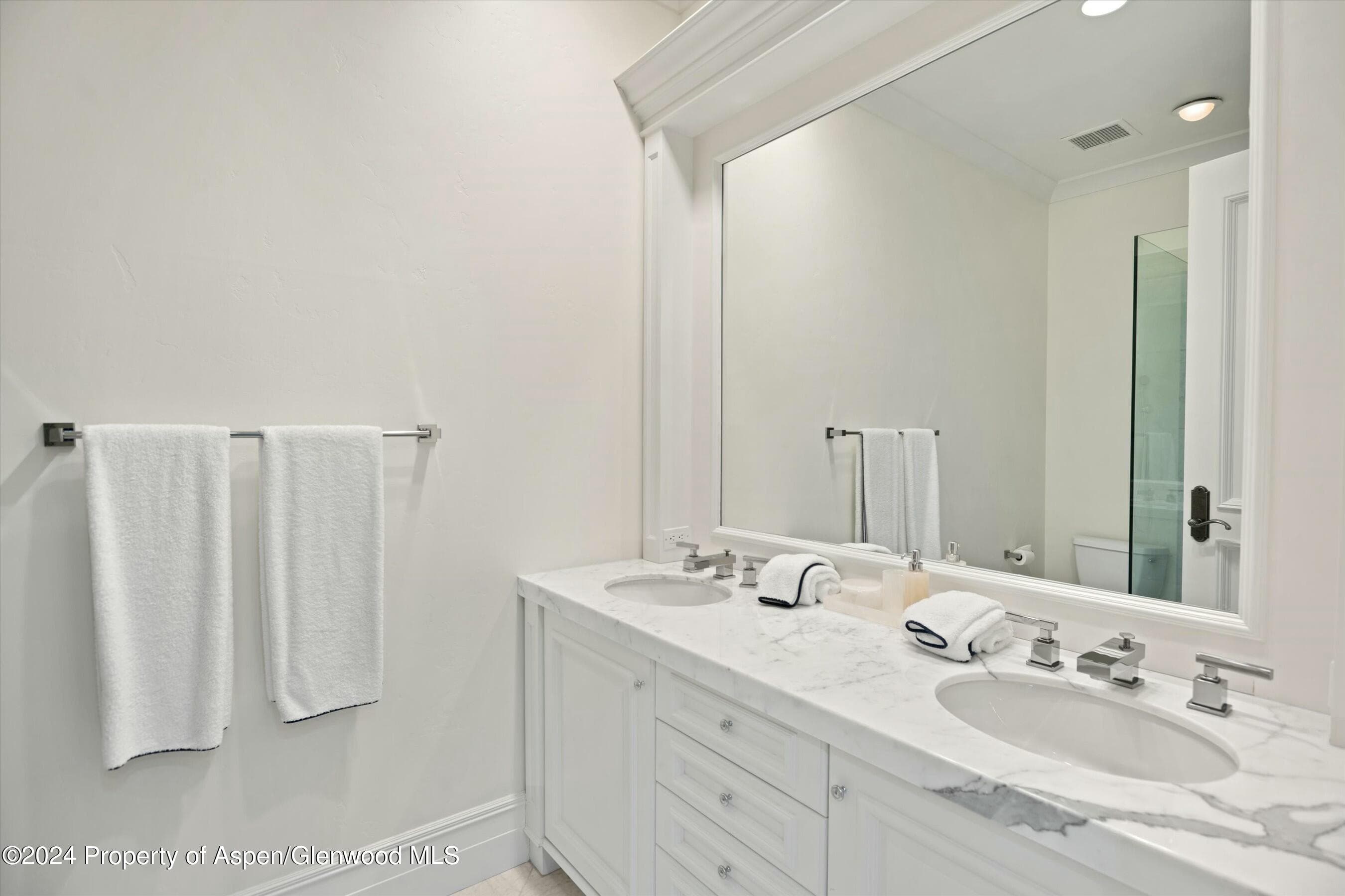 386 Pfister Drive, Aspen, CO 81611 - Photo 23