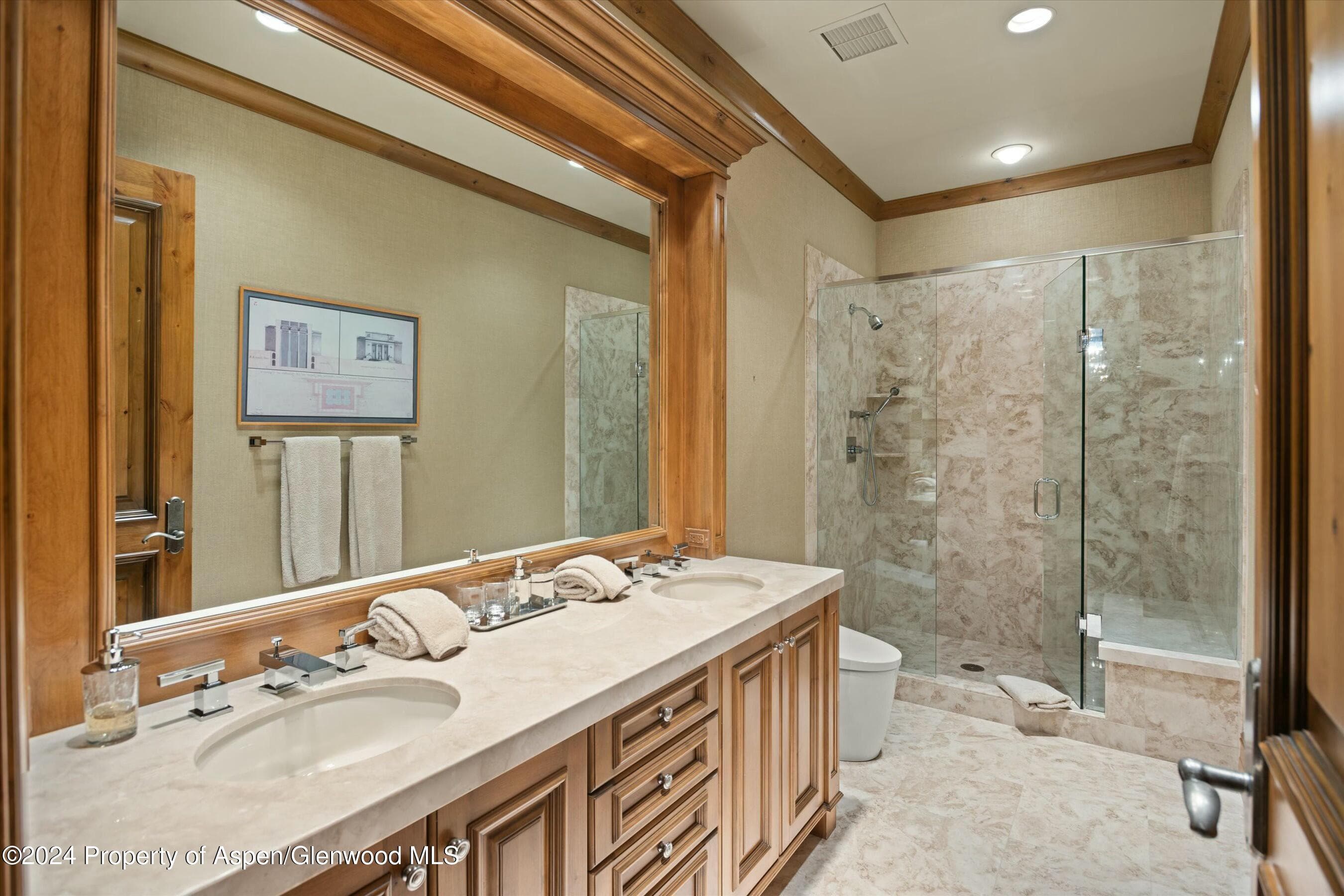 386 Pfister Drive, Aspen, CO 81611 - Photo 29