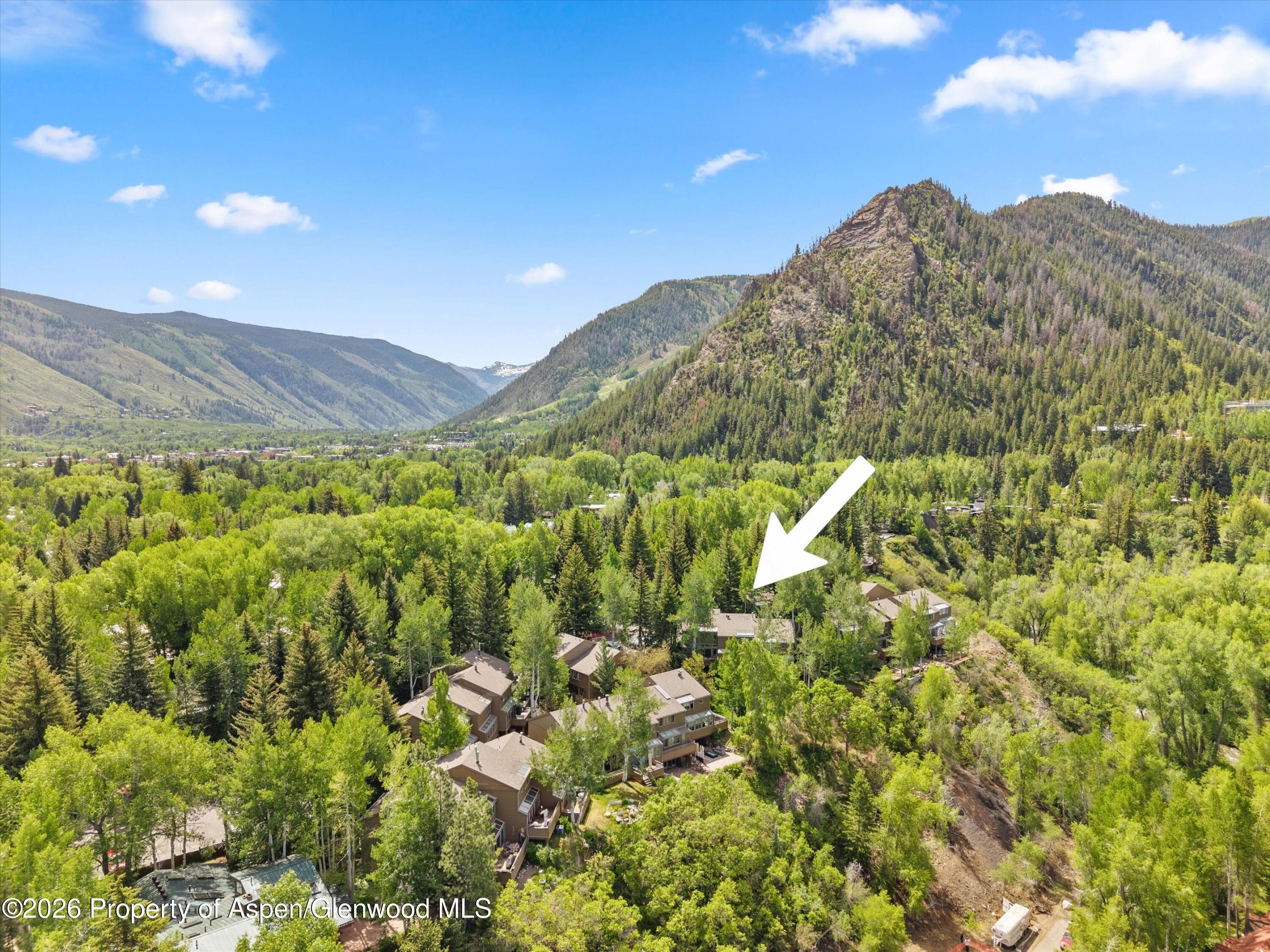 100 N Eigth Street 24, Aspen, CO 81611 - Photo 30