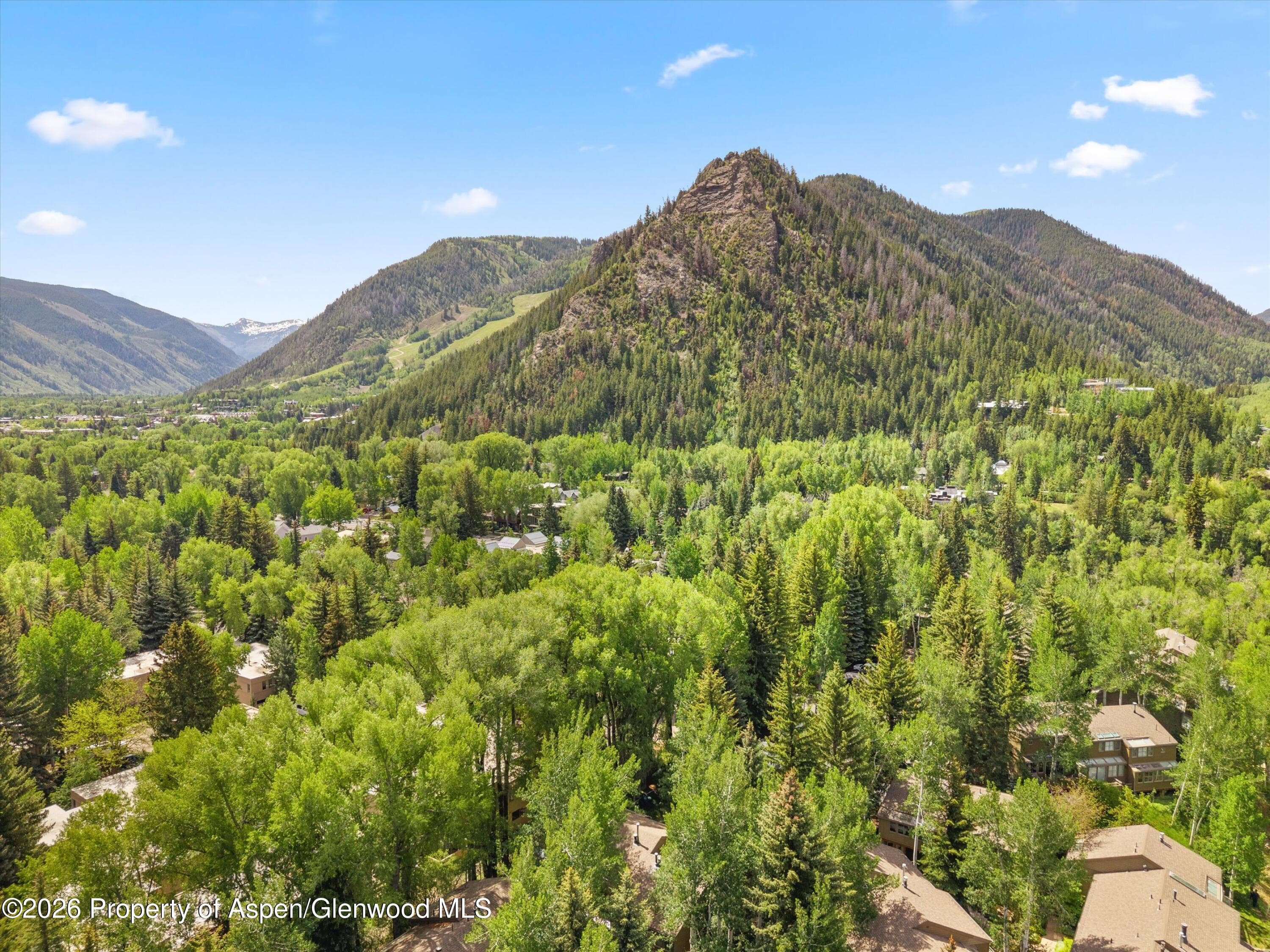 100 N Eigth Street 24, Aspen, CO 81611 - Photo 34