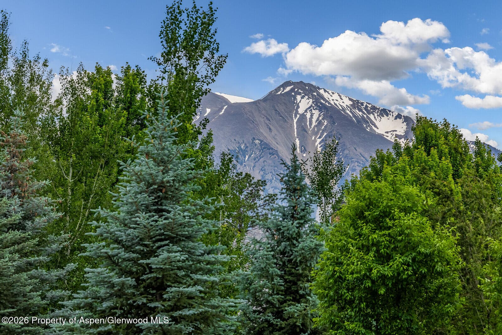67 Alpen Glo, Carbondale, CO 81623 - Photo 14