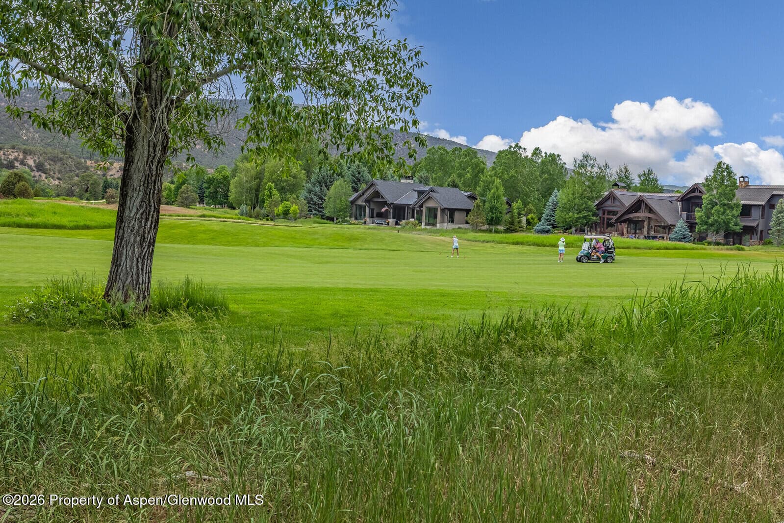 67 Alpen Glo, Carbondale, CO 81623 - Photo 15