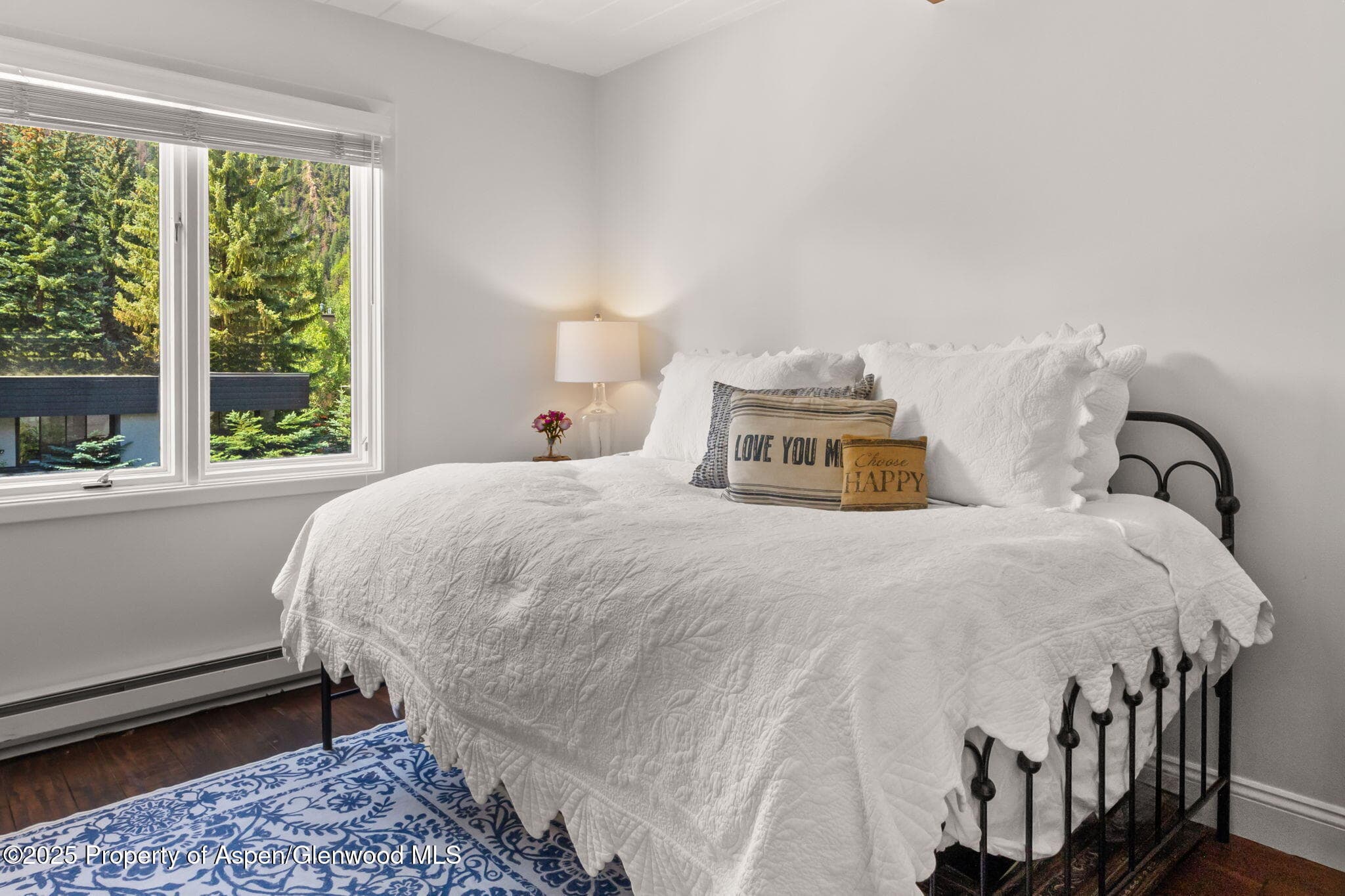 1024 E Cooper Avenue 8, Aspen, CO 81611 - Photo 12