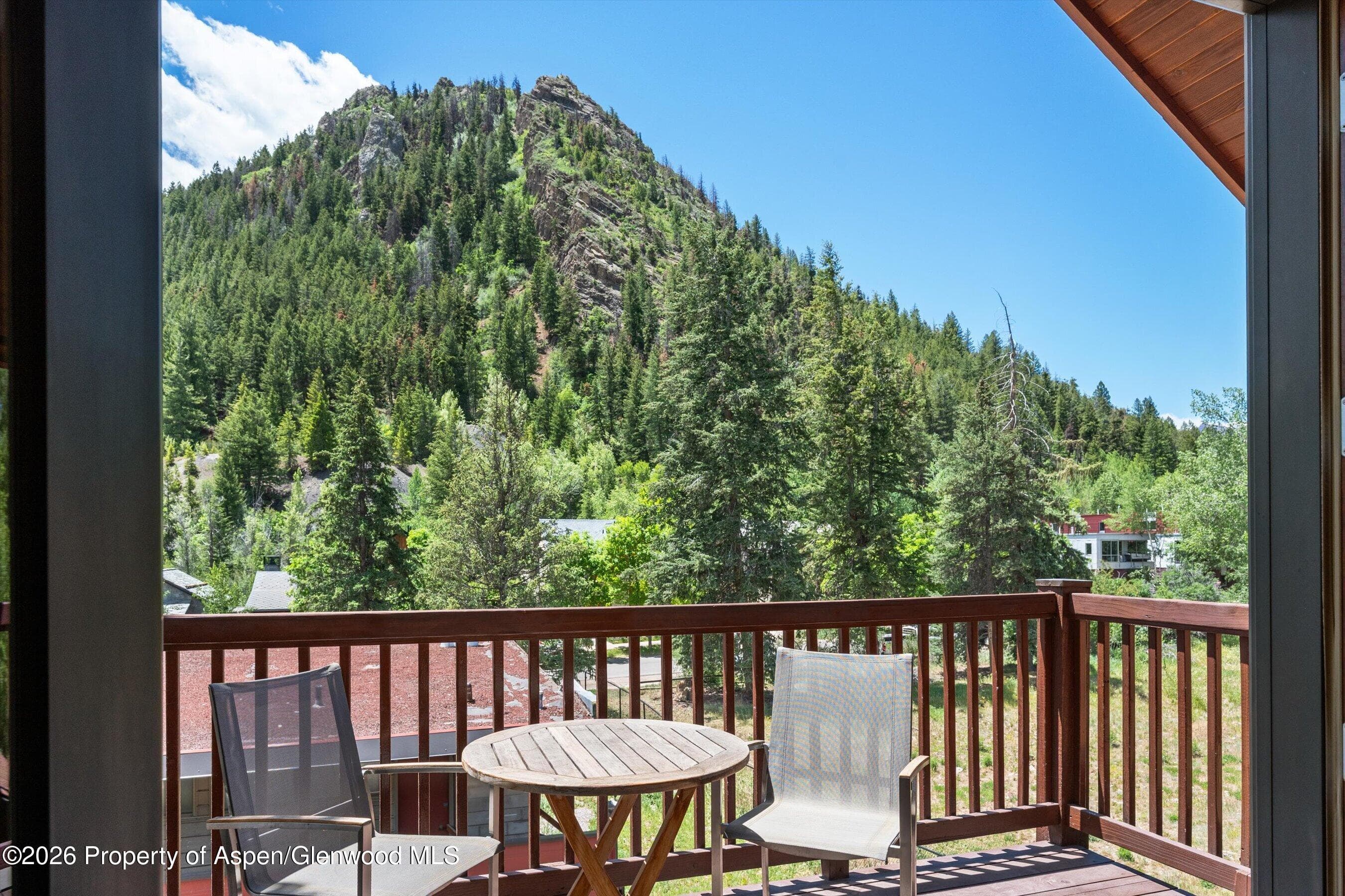 503 W Main Street B202, Aspen, CO 81611 - Photo 7
