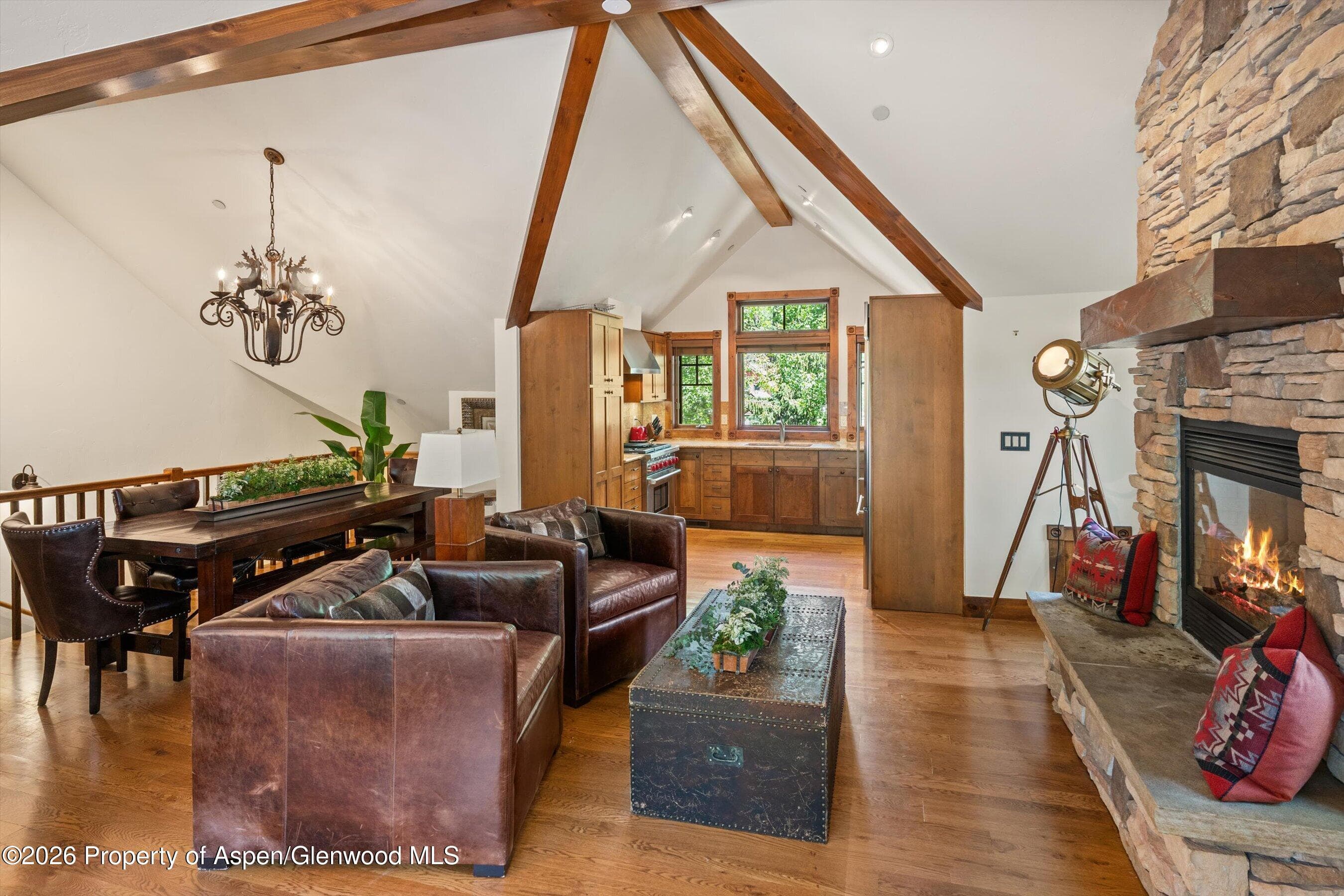 503 W Main Street B202, Aspen, CO 81611 - Photo 10