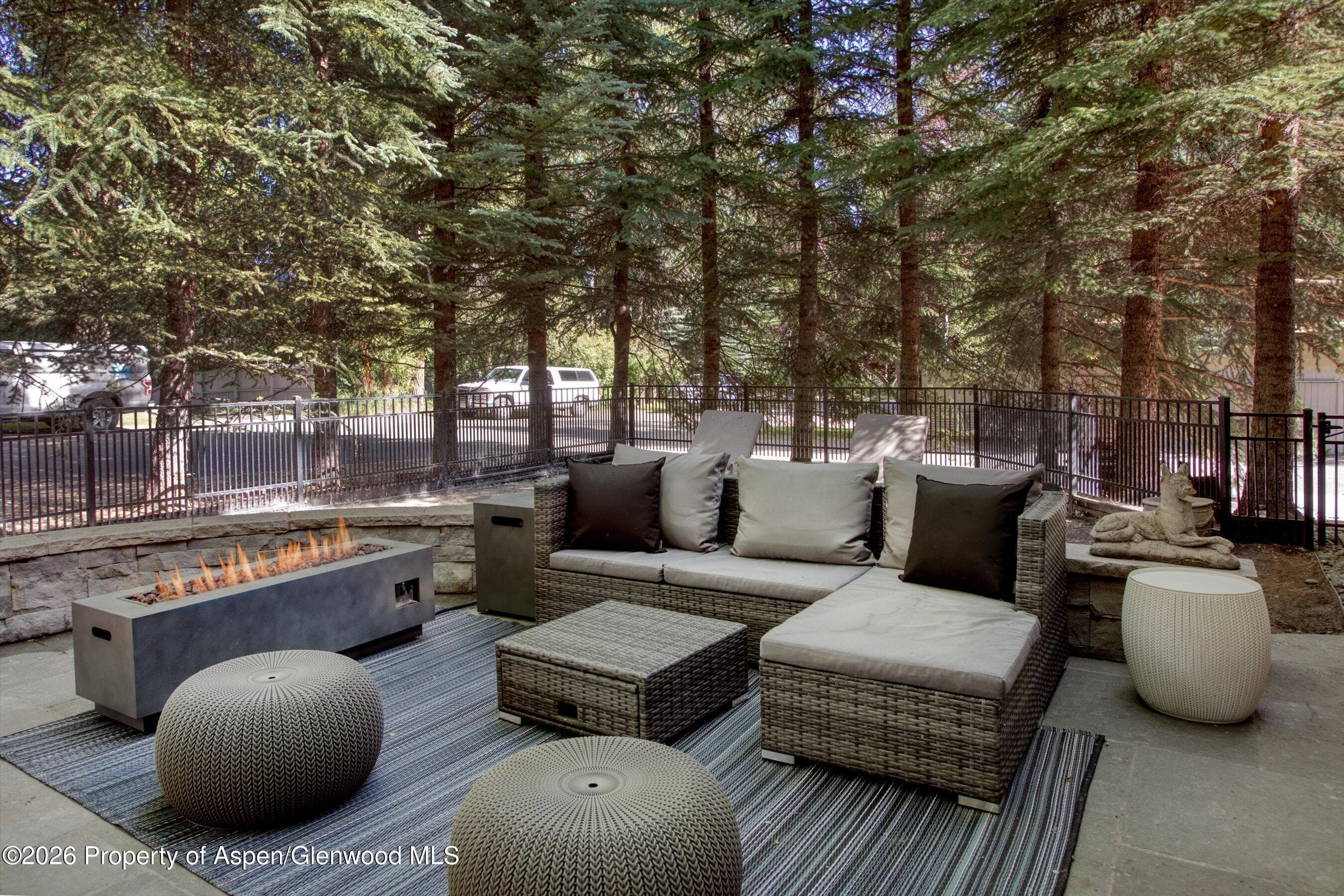 736 W Smuggler Street B, Aspen, CO 81611 - Photo 2