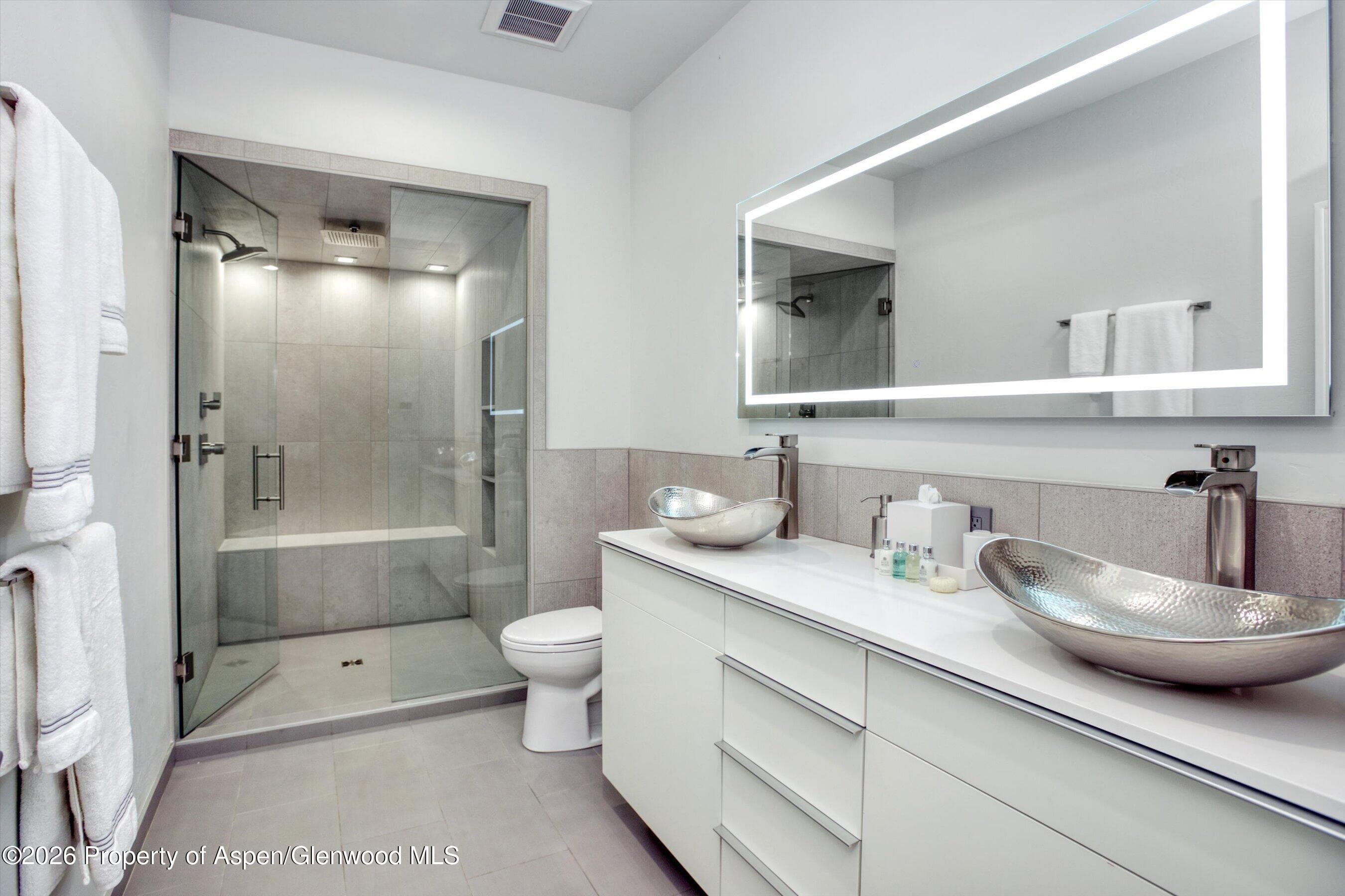 736 W Smuggler Street B, Aspen, CO 81611 - Photo 19
