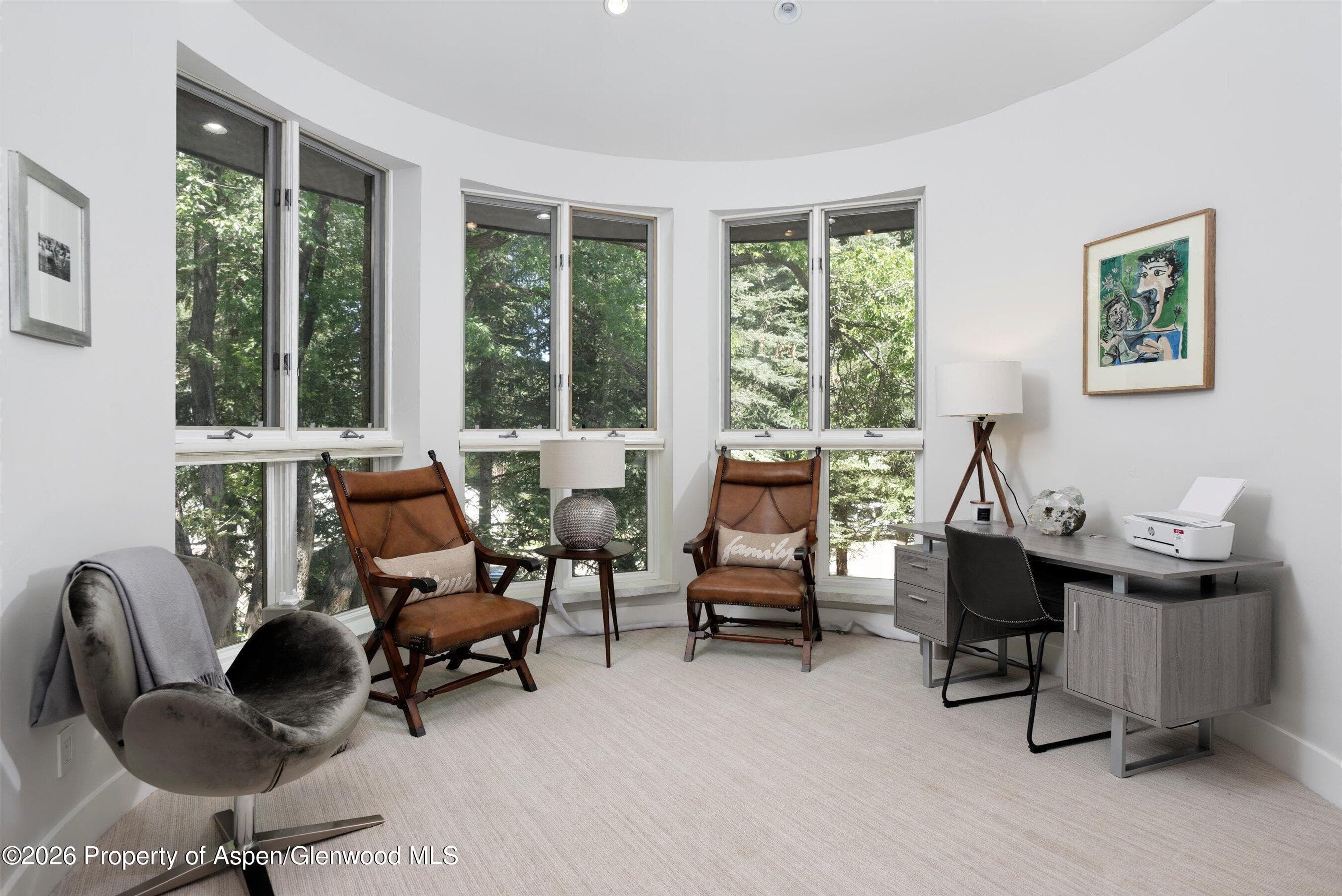 736 W Smuggler Street B, Aspen, CO 81611 - Photo 21