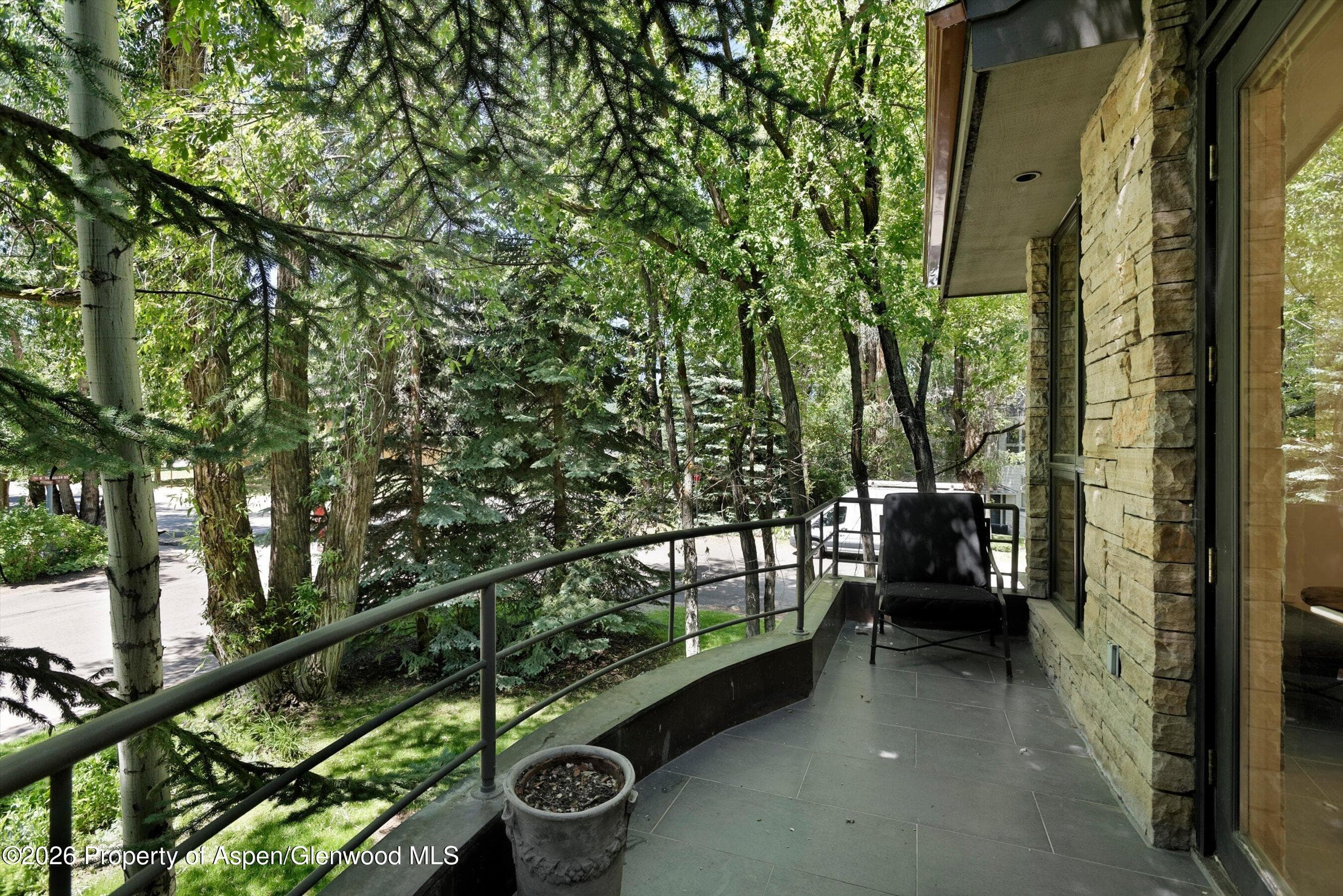 736 W Smuggler Street B, Aspen, CO 81611 - Photo 31