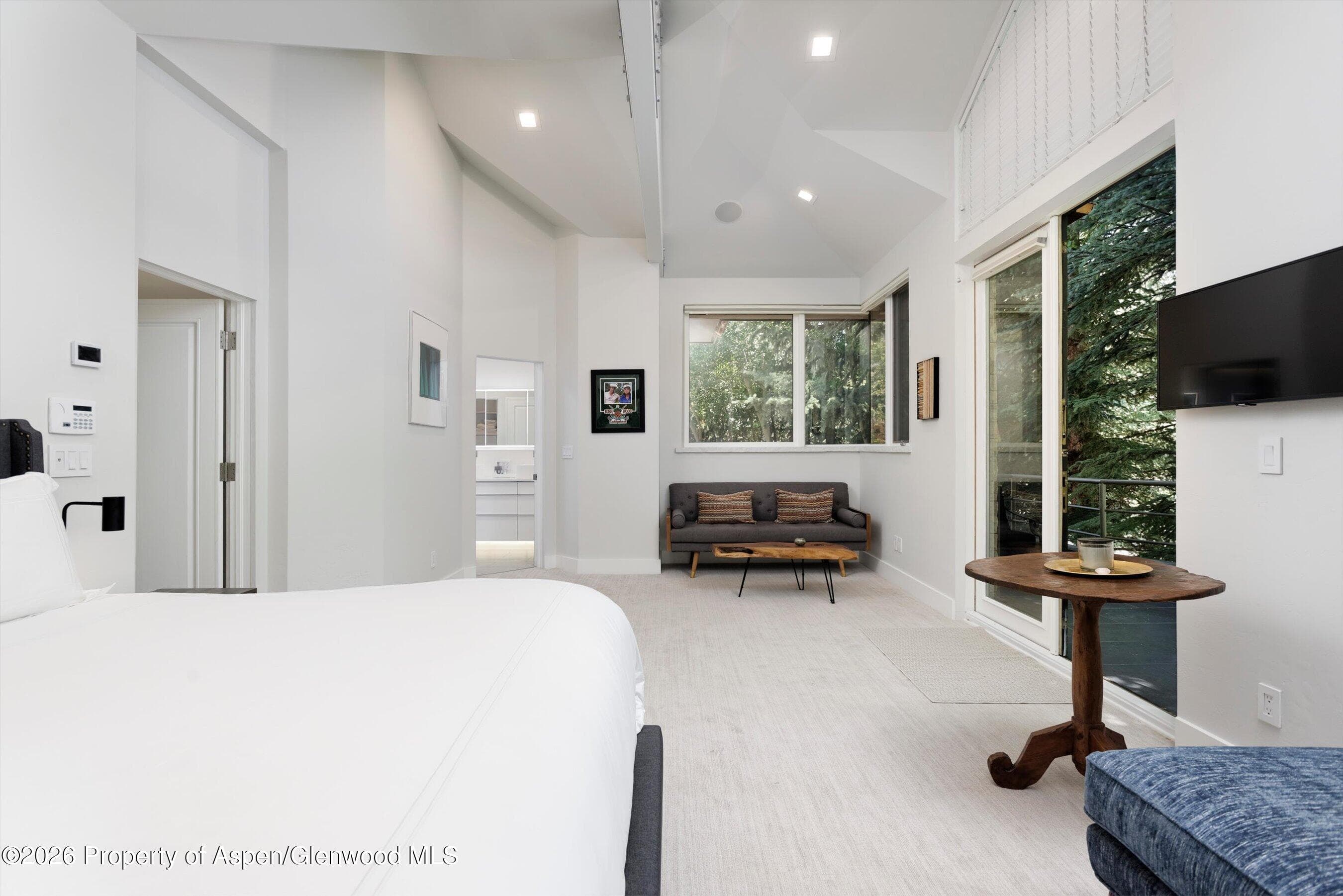 736 W Smuggler Street B, Aspen, CO 81611 - Photo 13