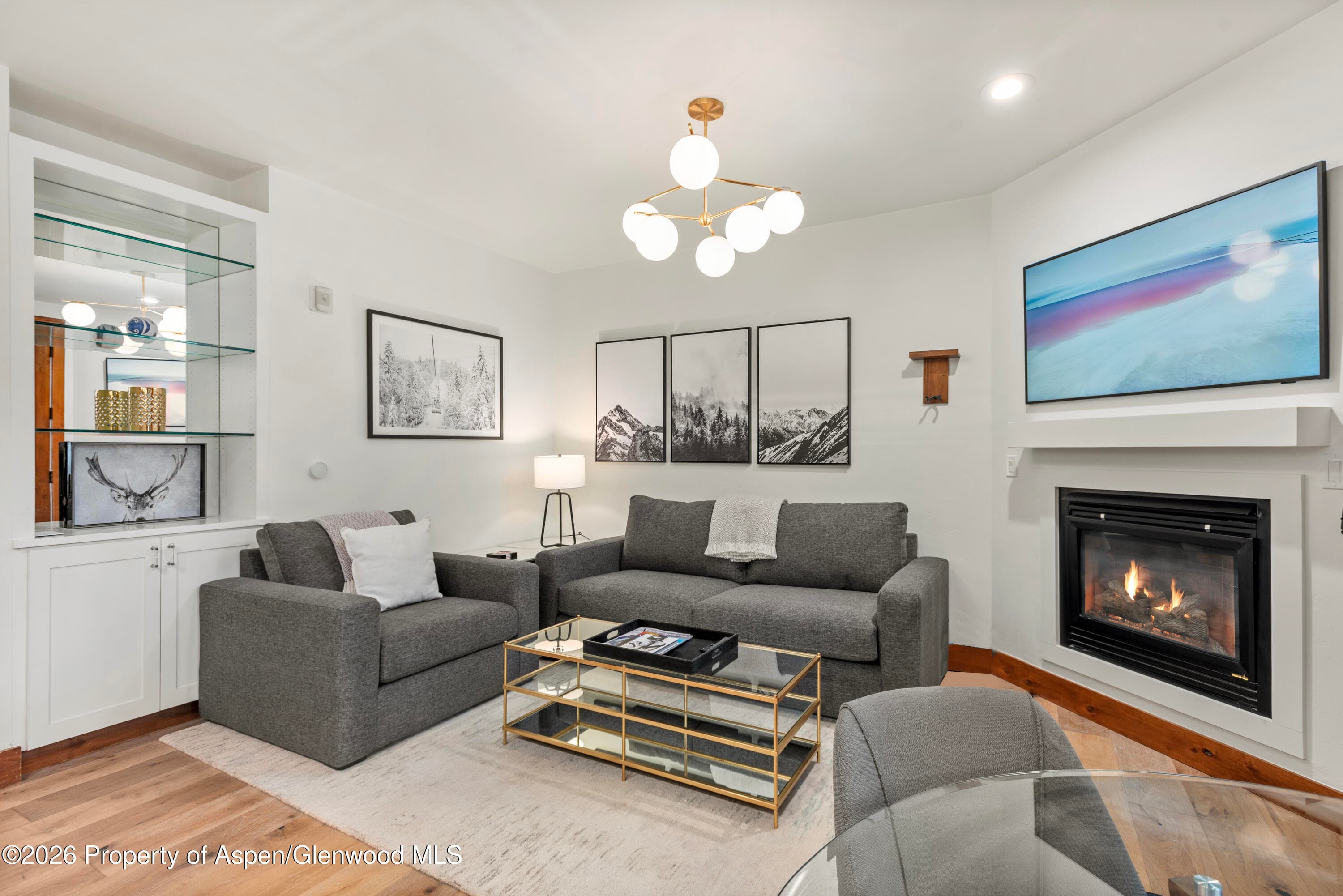 501 W Main Street A104, Aspen, CO 81611 - Photo 3